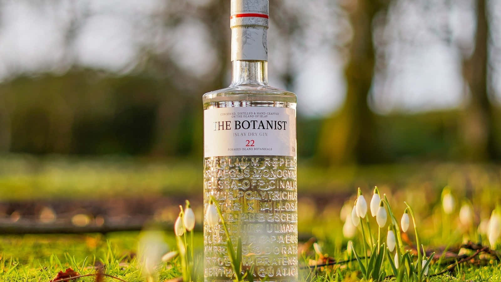 drinks 桌布 壁紙 — 一瓶清澈的 The Botanist Islay Dry Gin 直立於陽光普照的草地上，點綴著精緻的白色雪花蓮。