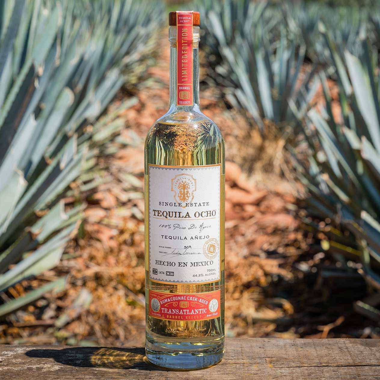 bottle 桌布 壁紙 — 一瓶清澈的Tequila Ocho Añejo放在經風化的木頭上，背景是藍色龍舌蘭植物，在明亮的陽光下。