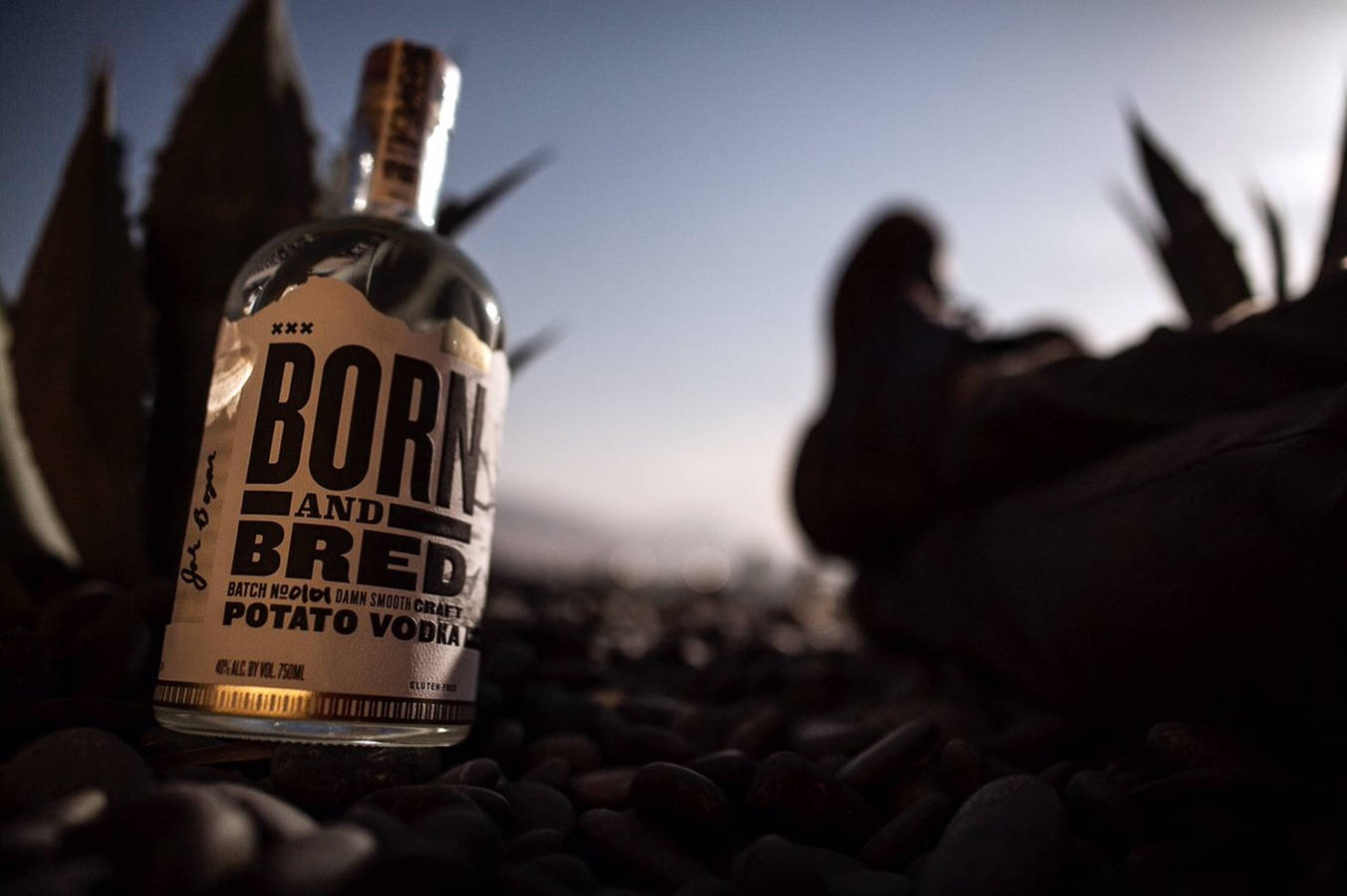 bottle 桌布 壁紙 — 一瓶透明的 Born and Bred 馬鈴薯伏特加酒放在深色鵝卵石上，旁邊是龍舌蘭植物，背景是柔和的黃昏天空。