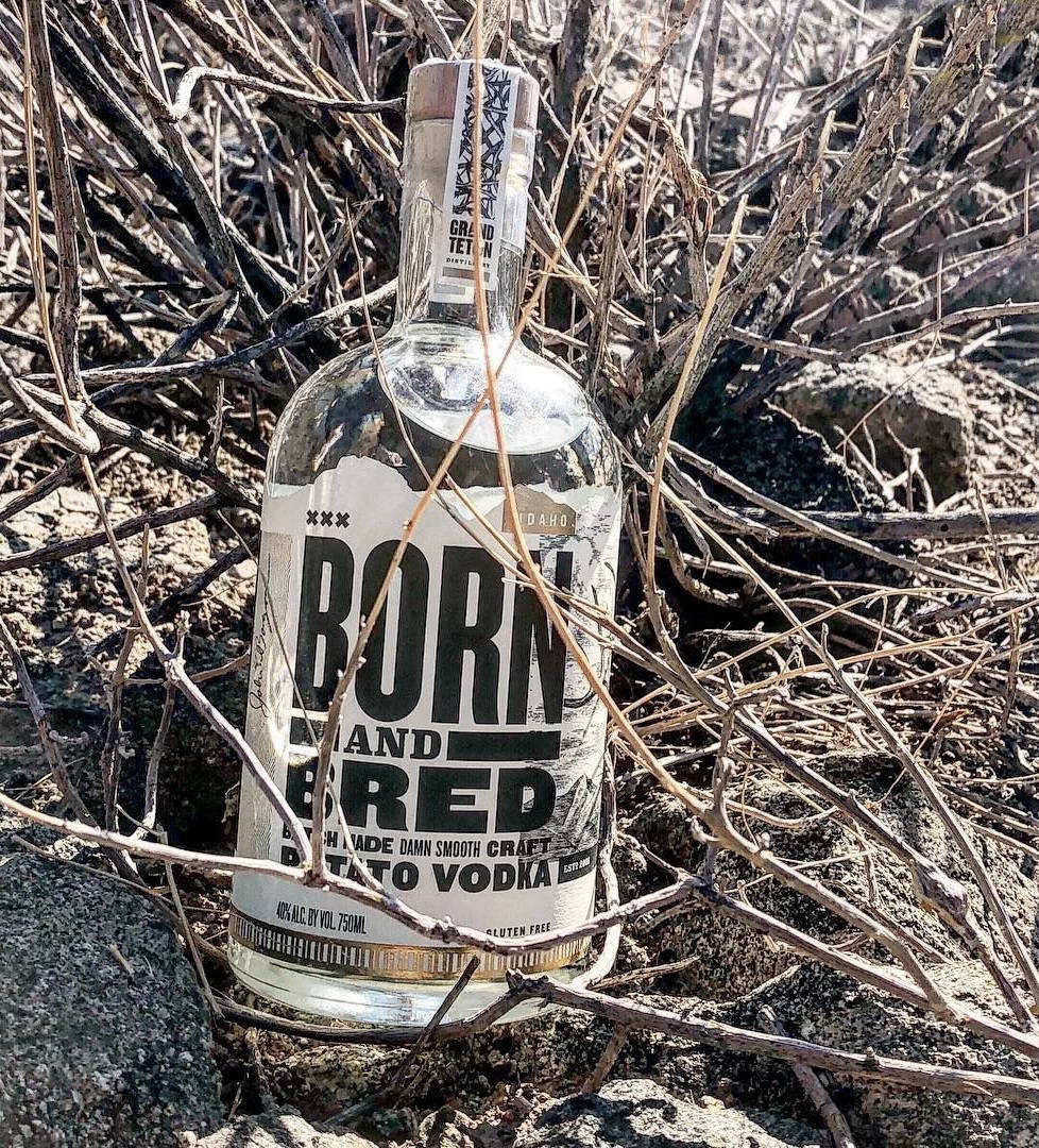 bottle 桌布 壁紙 — 一瓶透明的 Born and Bred 馬鈴薯伏特加酒放置在陽光普照的乾旱景觀中，乾燥纏繞的樹枝之間。