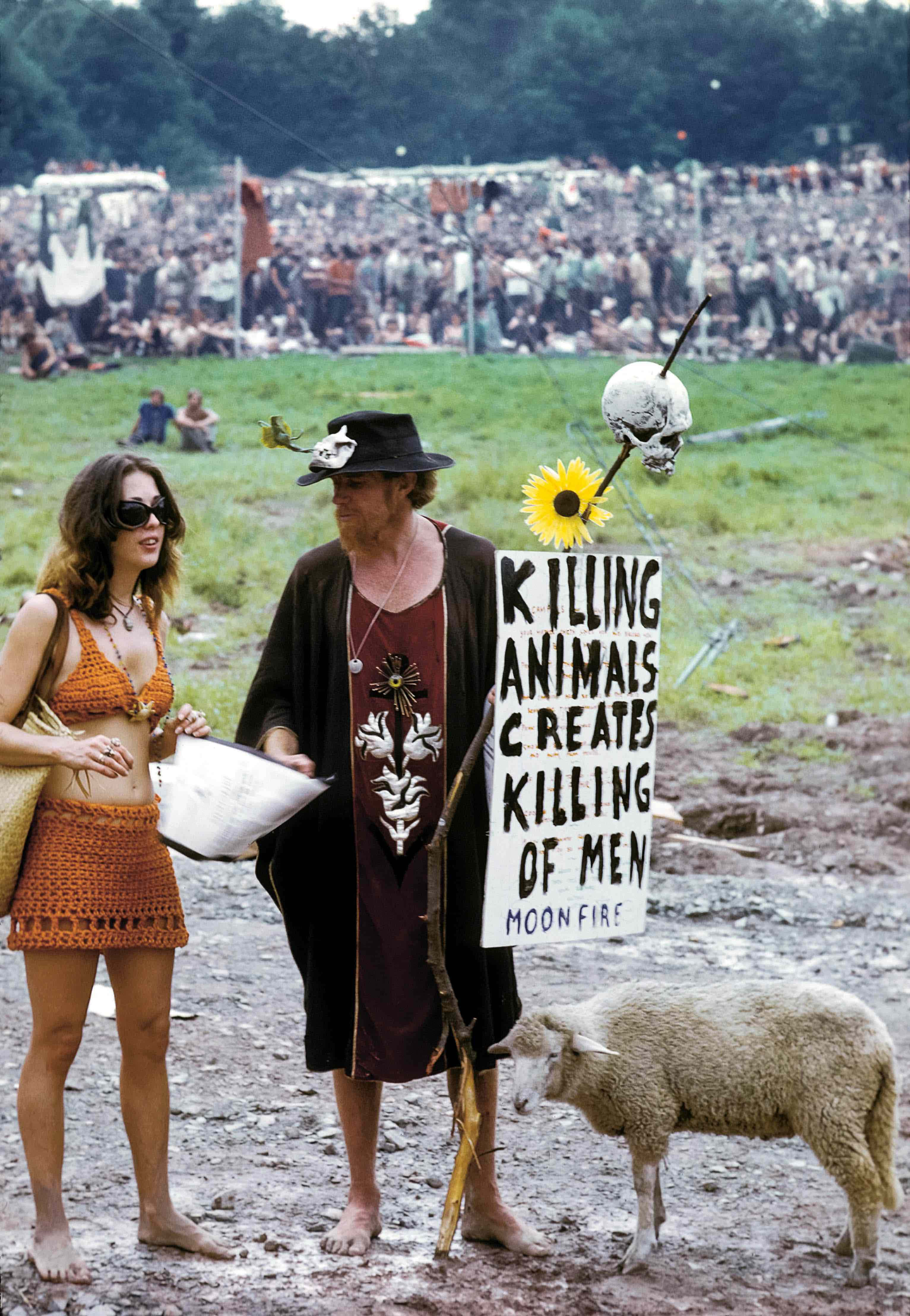 woodstock 桌布 壁紙 — 一男一女身穿1960年代嬉皮服裝，在擁擠的戶外節日活動中與一隻羊和抗議標語站在一起。