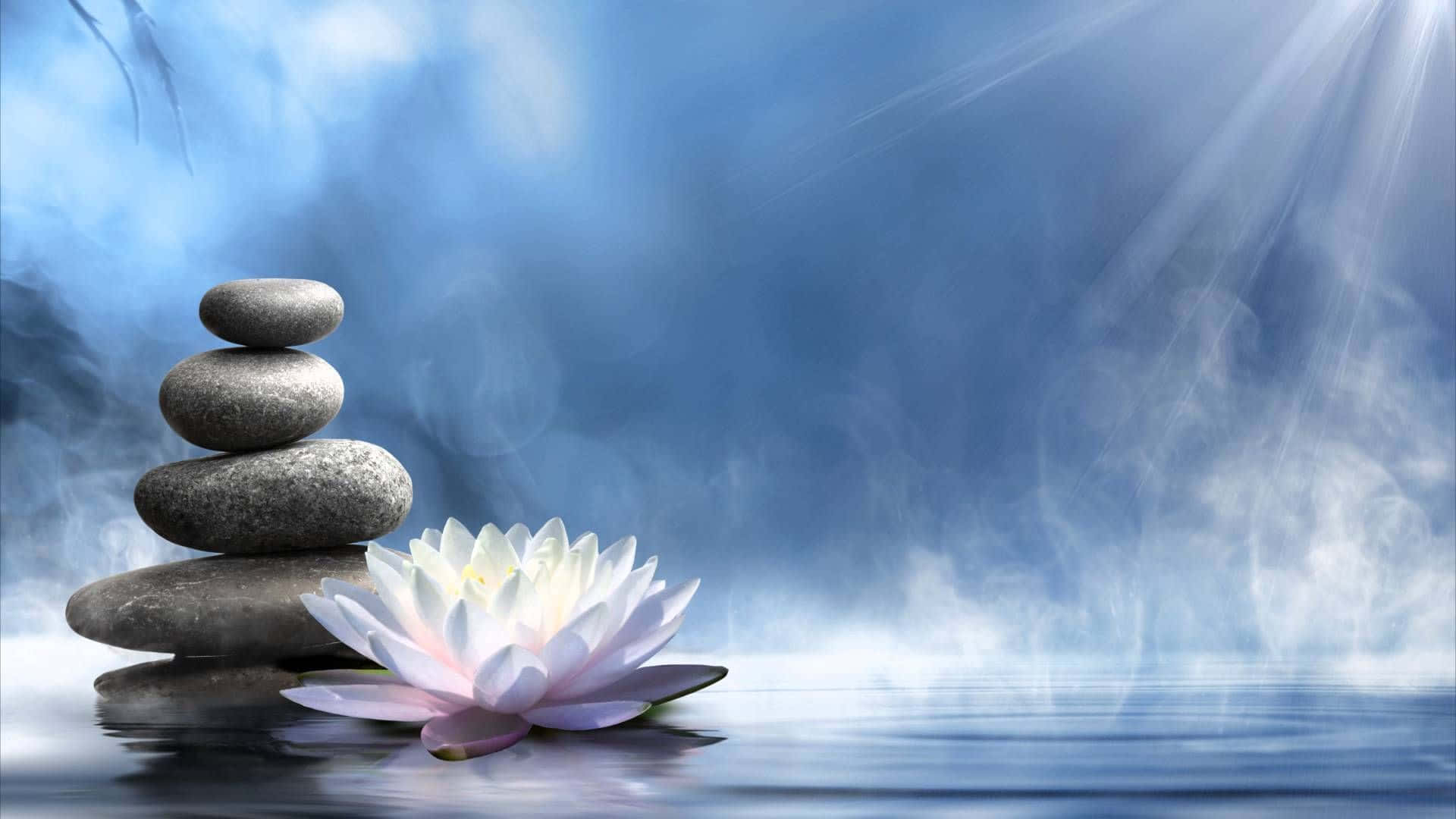 禪 桌布 壁紙 — 一疊寧靜的灰色石頭和一朵白色蓮花在柔和藍色光線下漂浮在平靜的水面上。