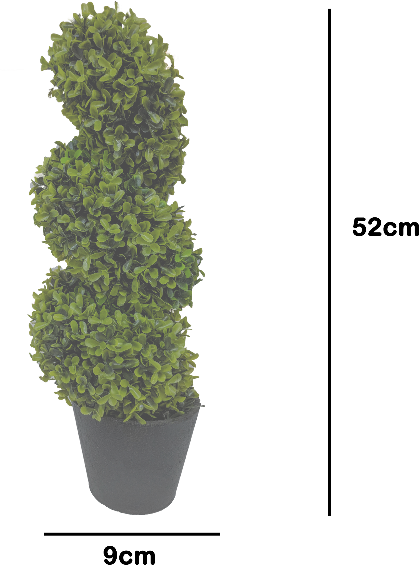 Potted Plant 桌布 壁紙 — 一盆深灰色花盆中的茂盛綠色螺旋造型植物，矗立在純黑色背景前。