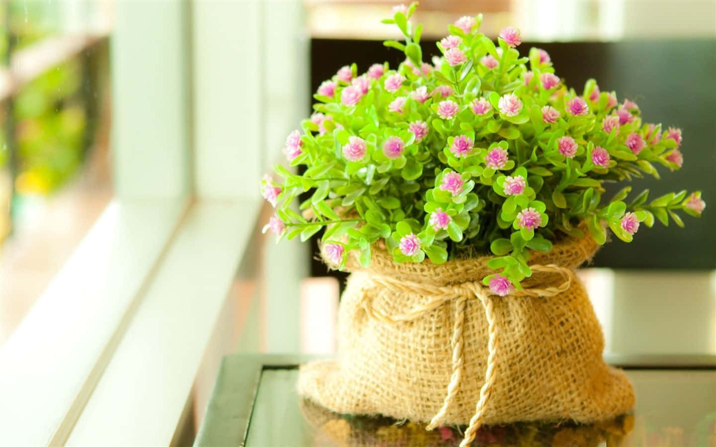 Flowers 桌布 壁紙 — 一盆茂盛的綠色植物，開著細小的粉紅色花朵，放在一個用麻繩捆紮的鄉村風格麻布袋中，置於明亮的窗邊反光玻璃表面上。