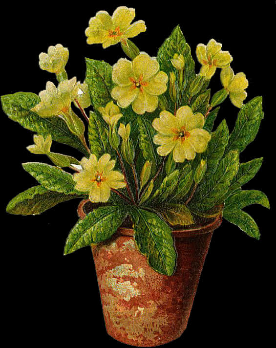 Potted Plant 桌布 壁紙 — 一盆黃花綠葉的報春花在黑色背景上的復古插圖。