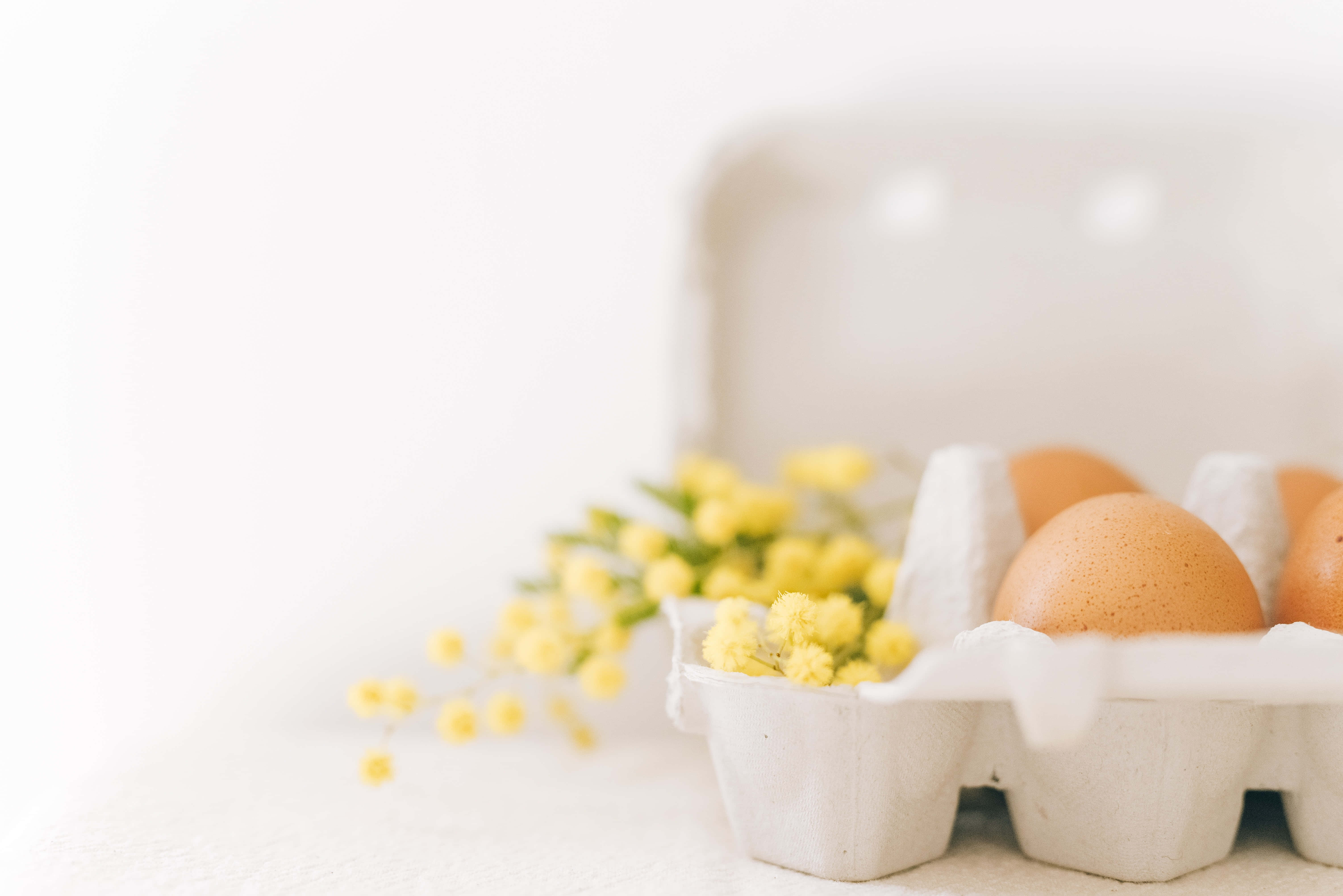 Brown Eggs 桌布 壁紙 — 一盒棕色雞蛋放在明亮的白色表面上，旁邊是嬌嫩的黃色含羞草花。