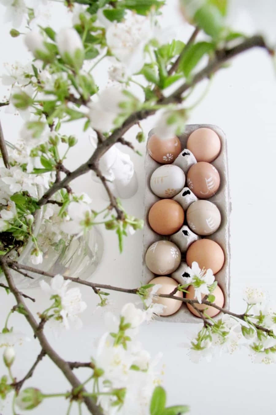 Egg 桌布 壁紙 — 一盒粉彩蛋，帶有精緻的花卉圖案，點綴在新鮮的白色花朵和綠葉之間。
