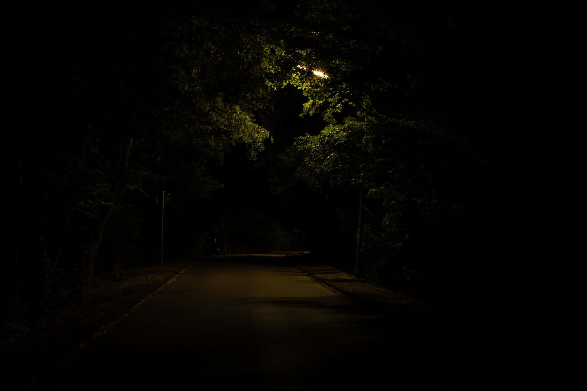Dark Road 桌布 壁紙 — 一盞孤獨的路燈在夜晚穿過茂密黑暗樹木的蜿蜒道路上投下溫暖的光芒。