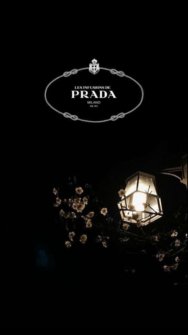 Prada 桌布 壁紙 — 一盞發光的燈籠在Prada標誌下照亮了黑色夜空中的精緻花朵。