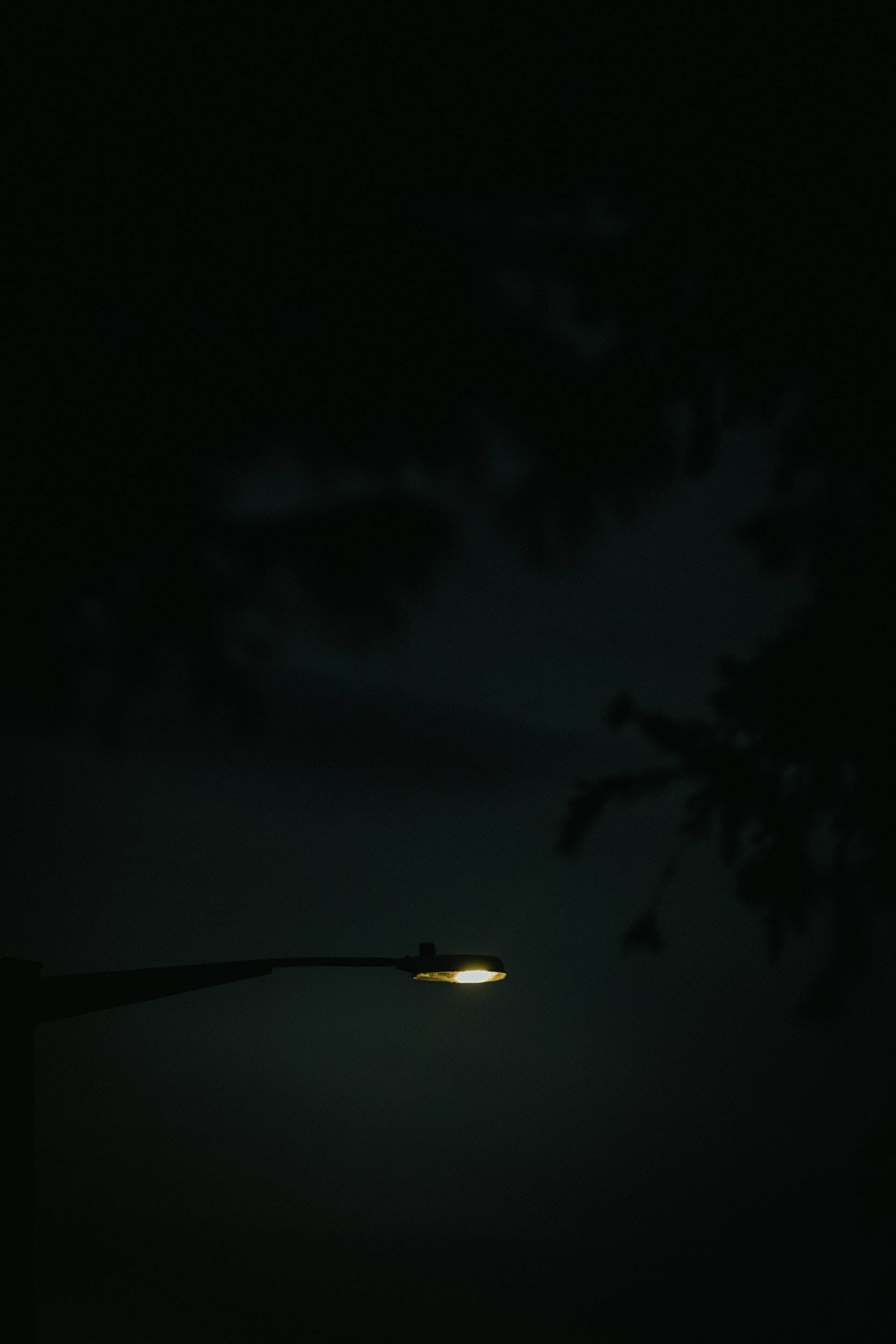 Light 桌布 壁紙 — 一盞發光的街燈，以溫暖的黃色光芒穿透深邃的夜空，映襯著黑暗的樹枝剪影。