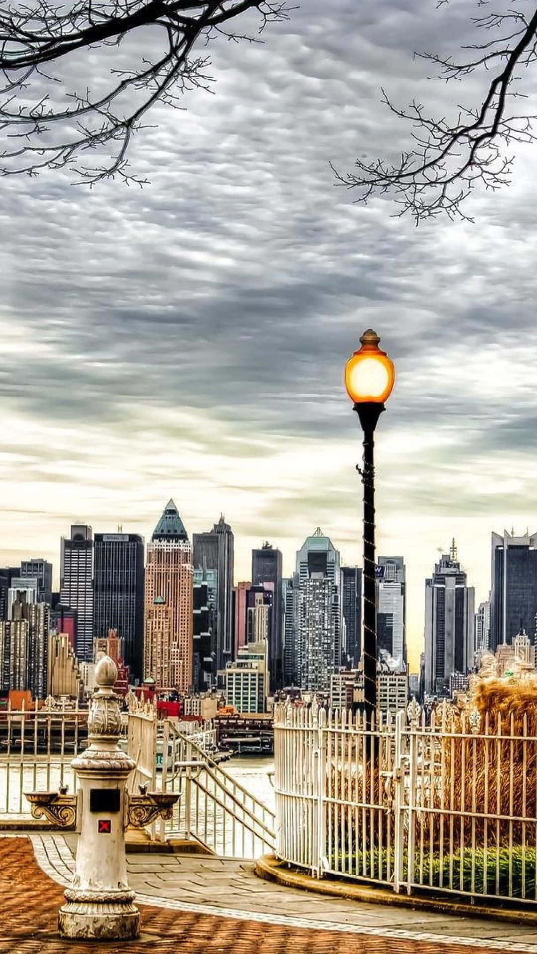 Android Ny City 桌布 壁紙 — 一盞發光的街燈立於石欄杆上，框住廣闊的城市天際線，天空多雲，頭頂有光禿的樹枝。