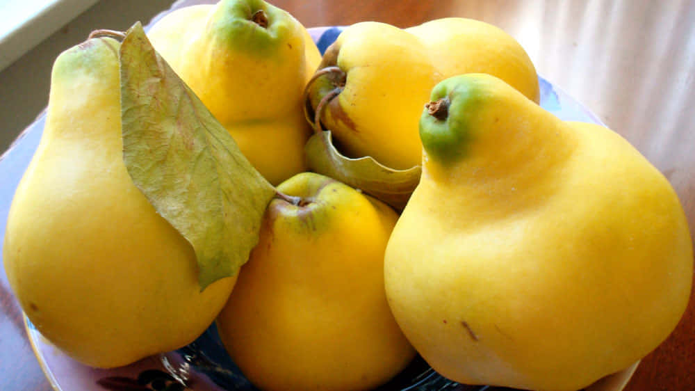 Quince 桌布 壁紙 — 一碗成熟的黃色榲桲，帶有綠色莖和葉，在柔和自然光下閃閃發光。