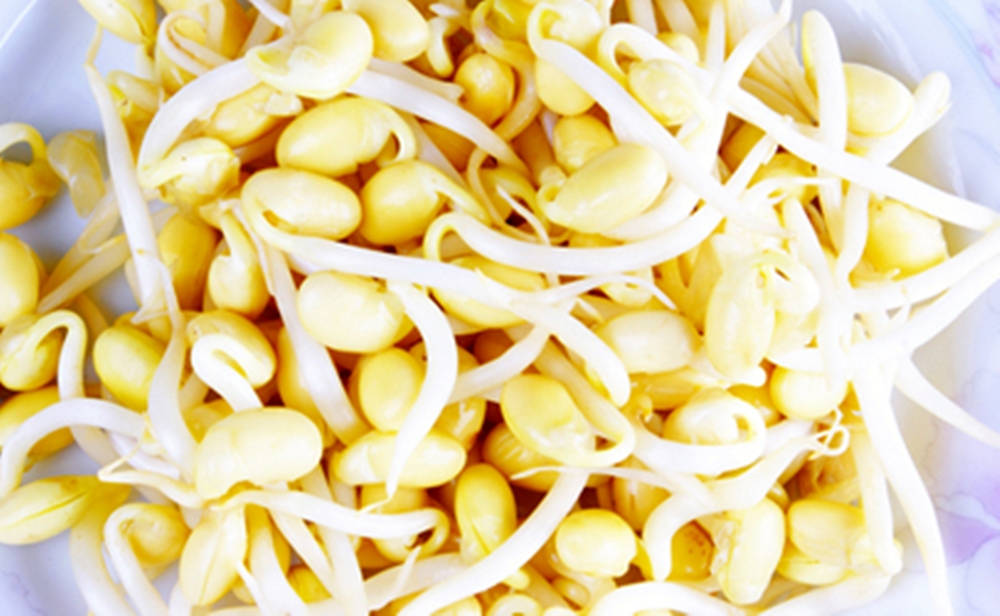 beans 桌布 壁紙 — 一碗新鮮黃白豆芽的特寫照片，光線柔和。