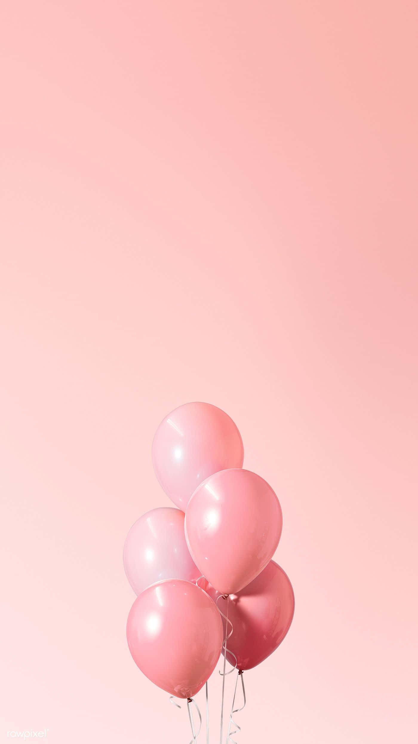 Pink Balloons 桌布 壁紙 — 一簇光澤粉紅色氣球在柔和的漸變粉紅色背景上輕輕漂浮。