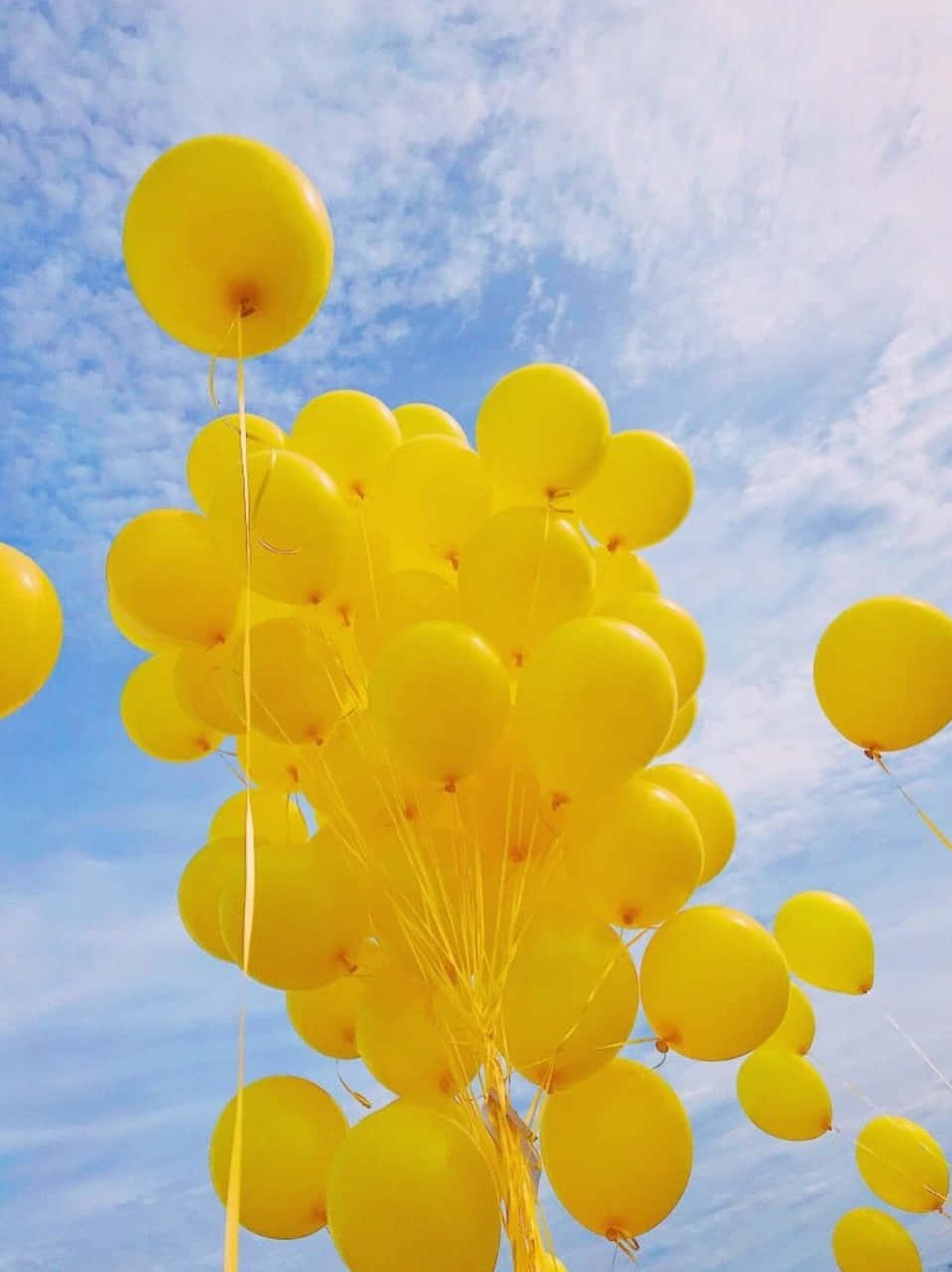 Balloons 桌布 壁紙 — 一簇明亮的黃色氣球在柔和藍天中飄浮，伴隨著縷縷輕雲。