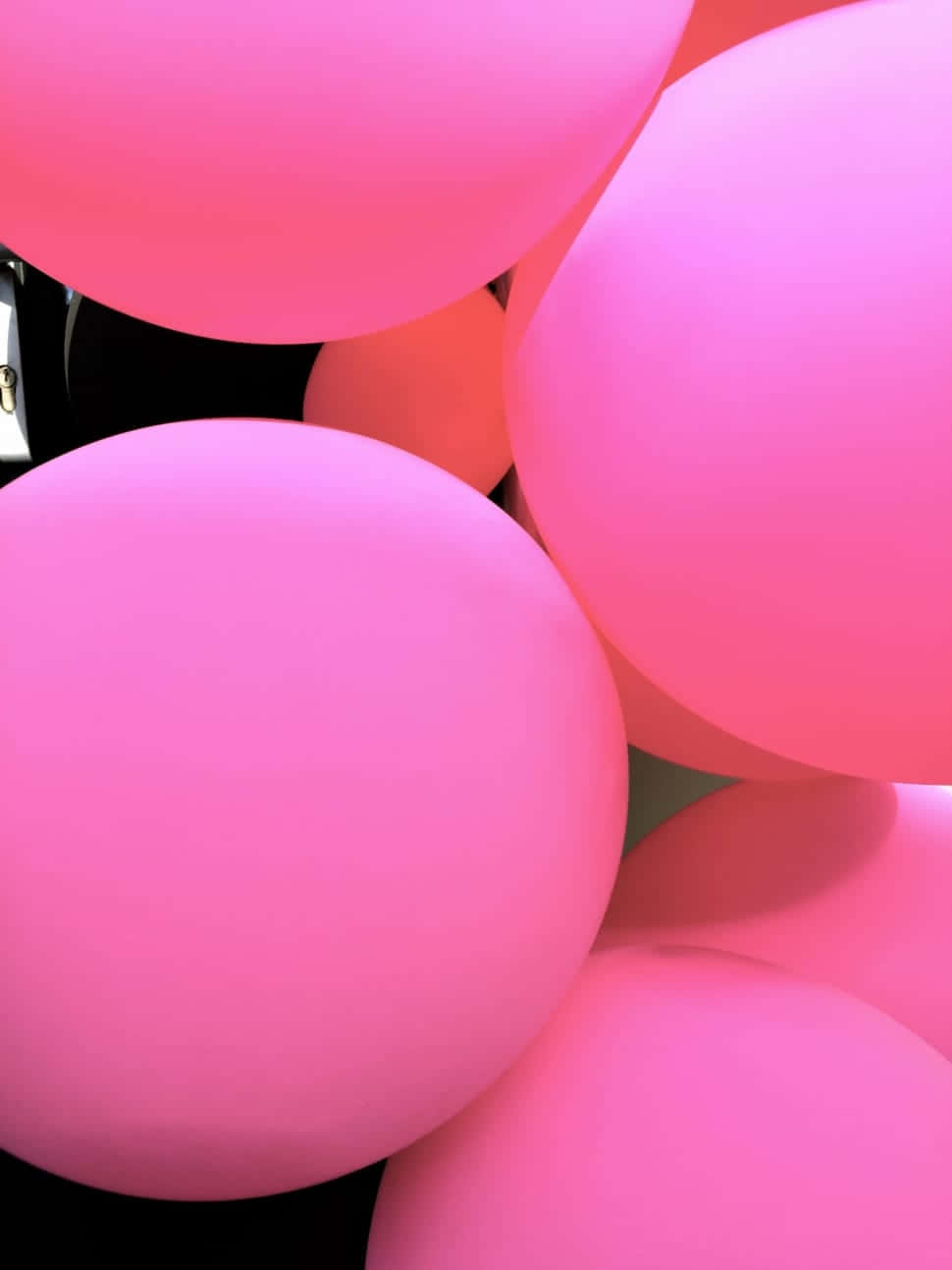 Pink Balloons 桌布 壁紙 — 一簇柔和發光的粉紅色氣球在深色背景下充滿畫面。