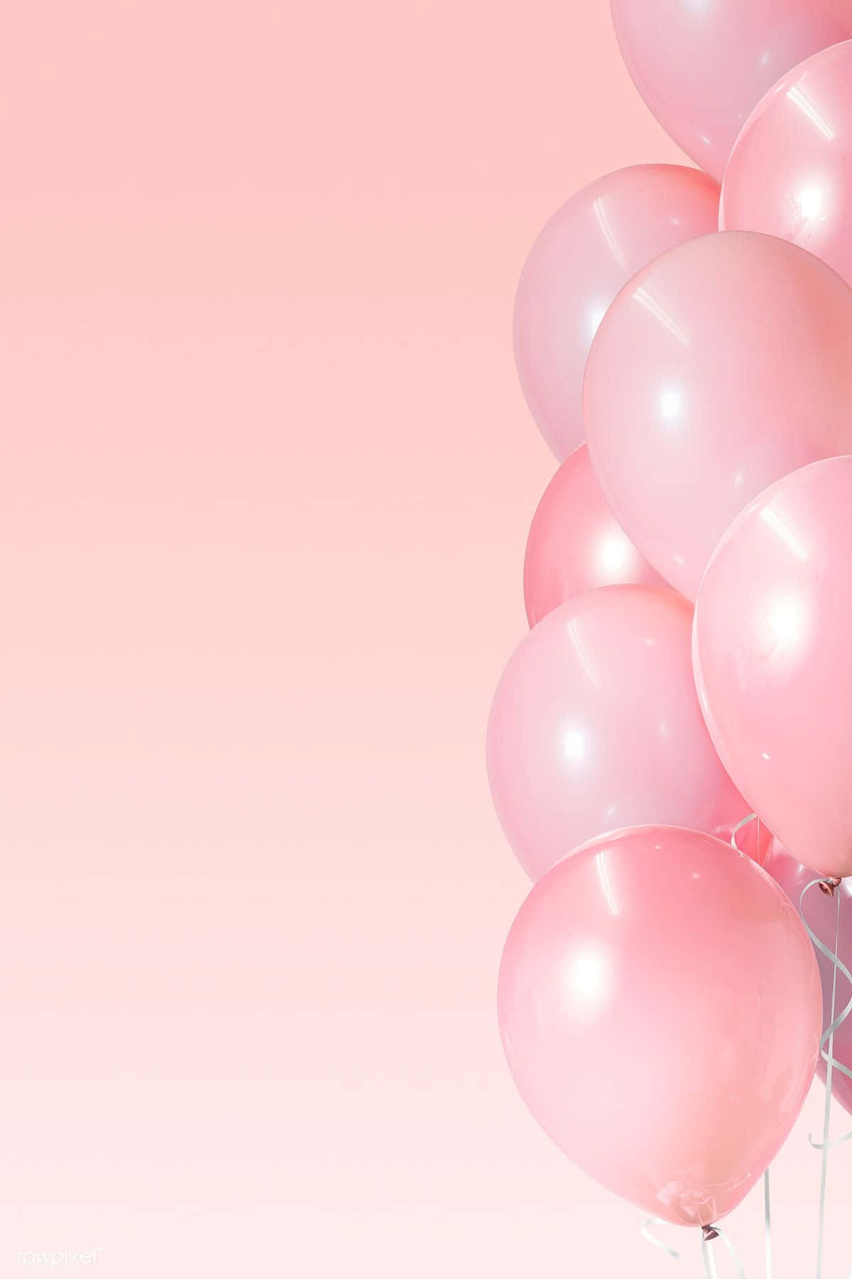 Pink Balloons 桌布 壁紙 — 一簇柔和的粉紅色氣球在粉紅色漸變背景上輕輕漂浮。