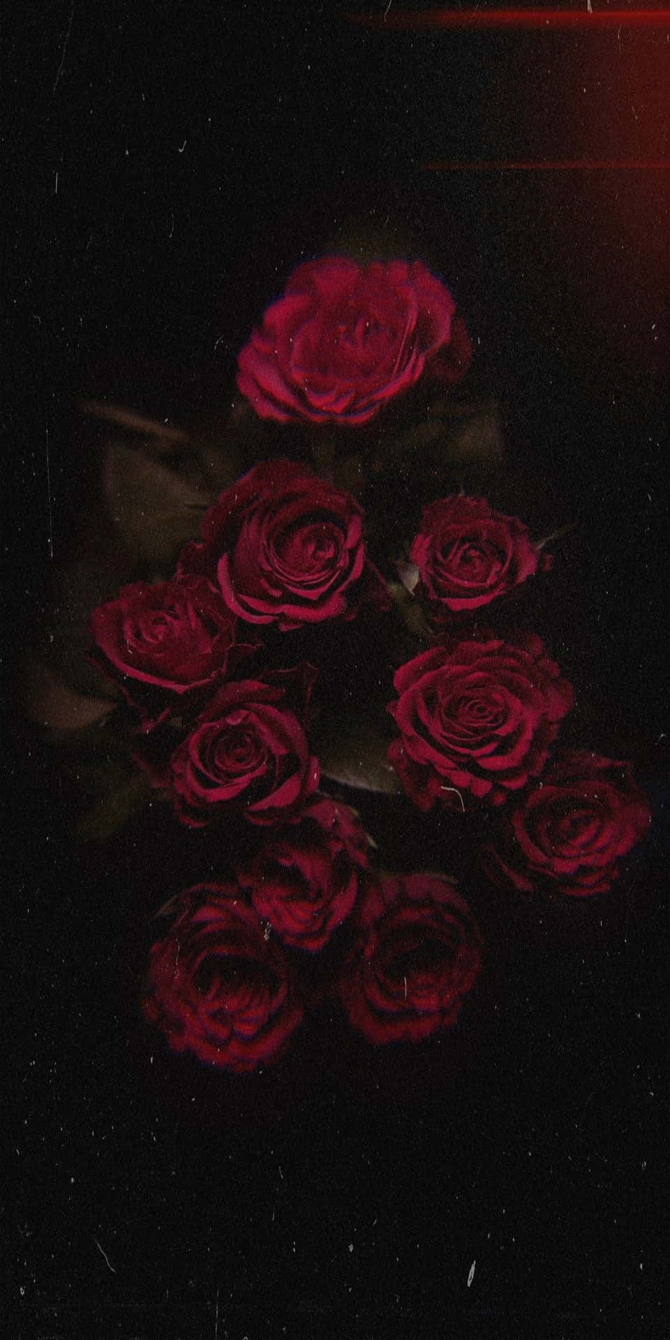 Red Flower Aesthetic 桌布 壁紙 — 一簇深紅玫瑰在帶有細微紅色光線的深色紋理背景上閃耀。
