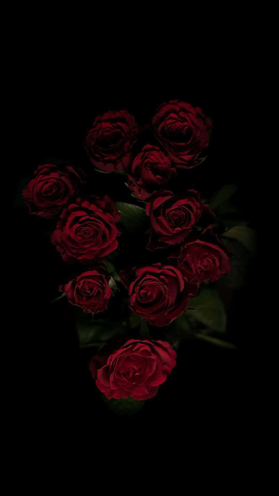 Aesthetic Rose 桌布 壁紙 — 一簇深紅玫瑰在漆黑背景中閃耀，點綴著微妙的綠葉。