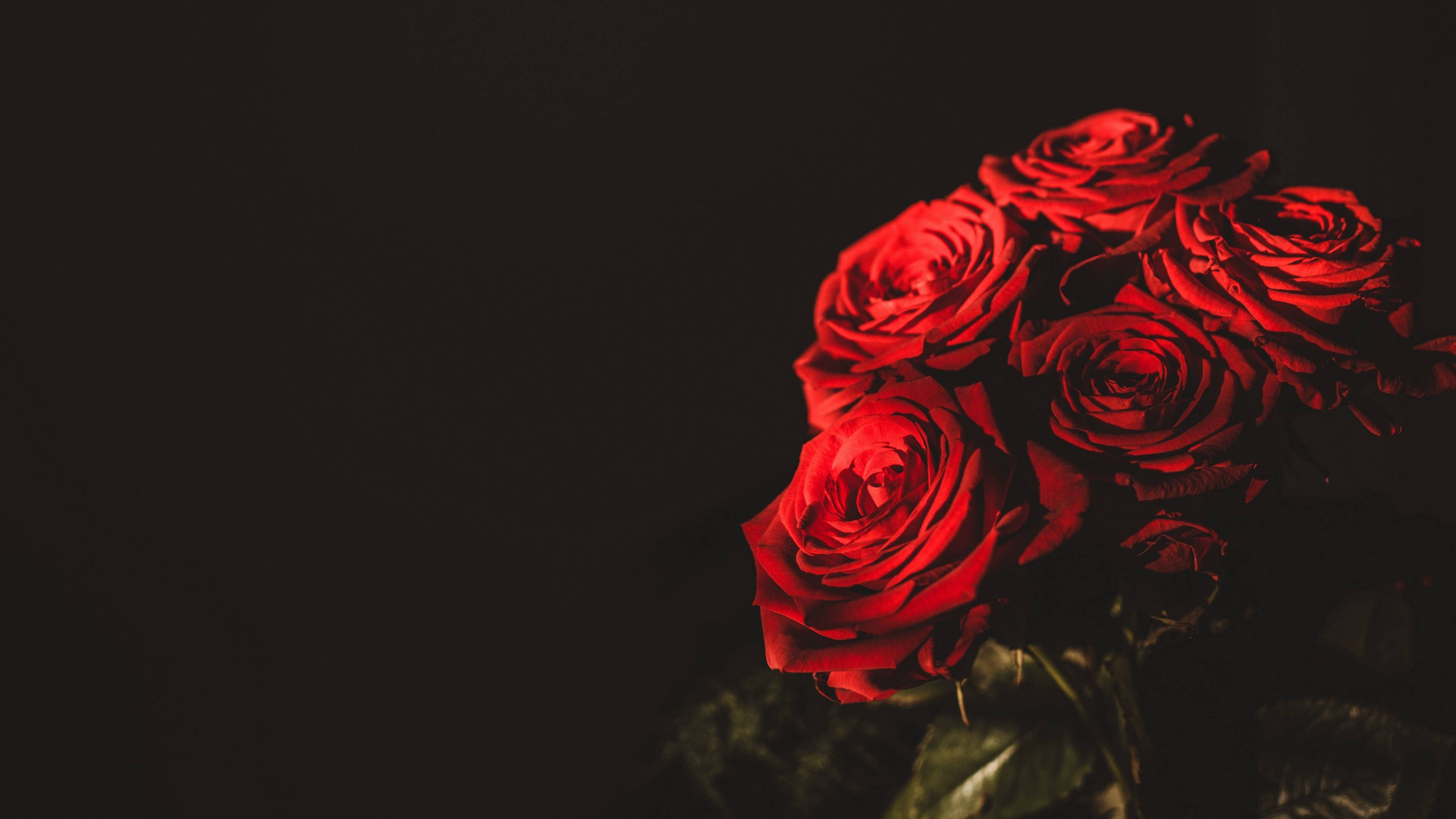 Roses Desktop 桌布 壁紙 — 一簇深紅玫瑰在純黑背景上閃耀，帶有戲劇性燈光。