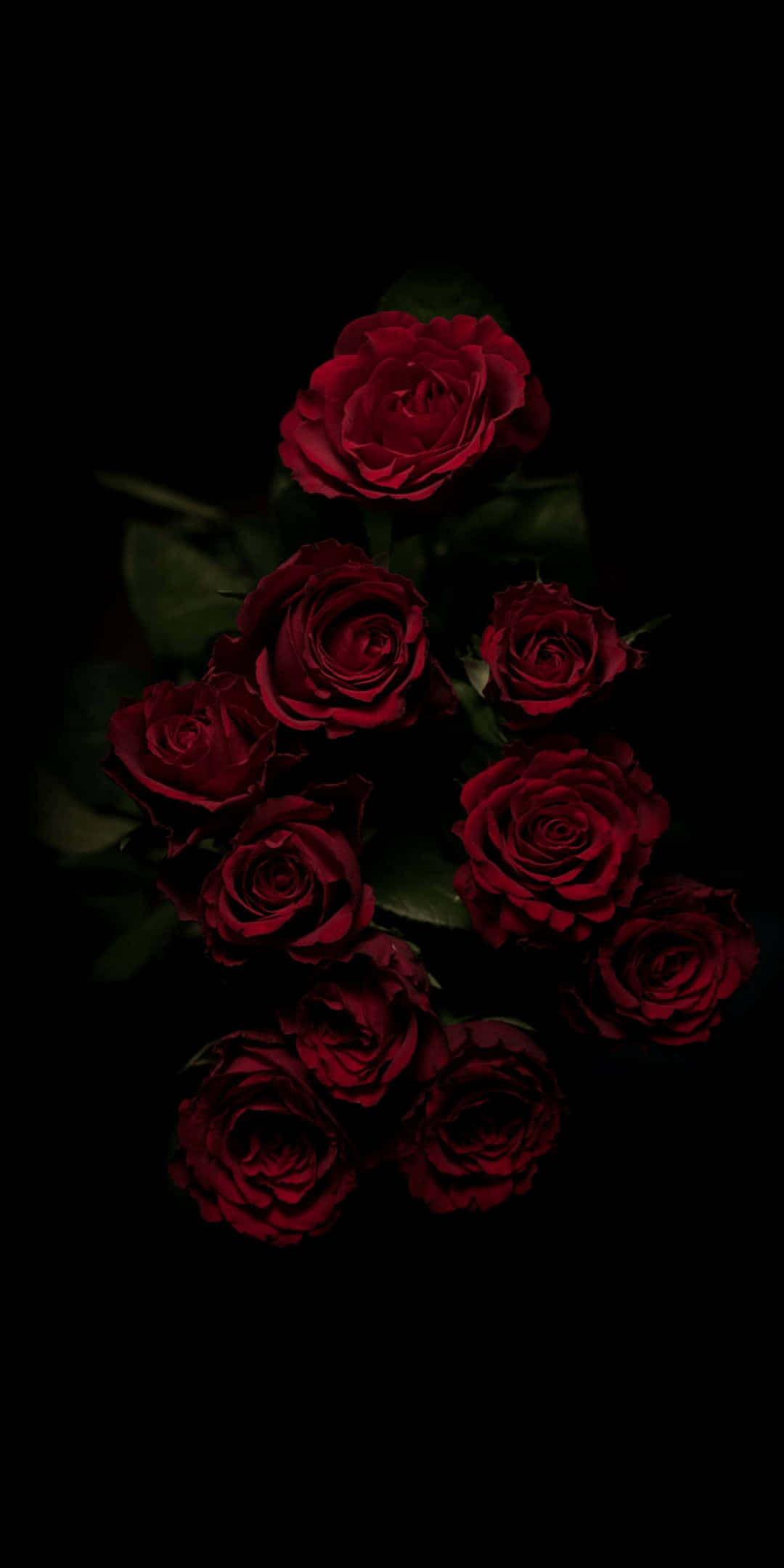 Pixel 3 Roses 桌布 壁紙 — 一簇深紅玫瑰與深綠葉子在純黑背景下顯得格外突出。