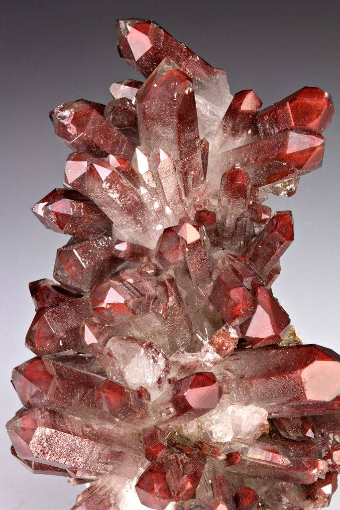 Red Crystal 桌布 壁紙 — 一簇深紅色和透明的水晶在柔和的灰色背景下散發出幾何光彩。