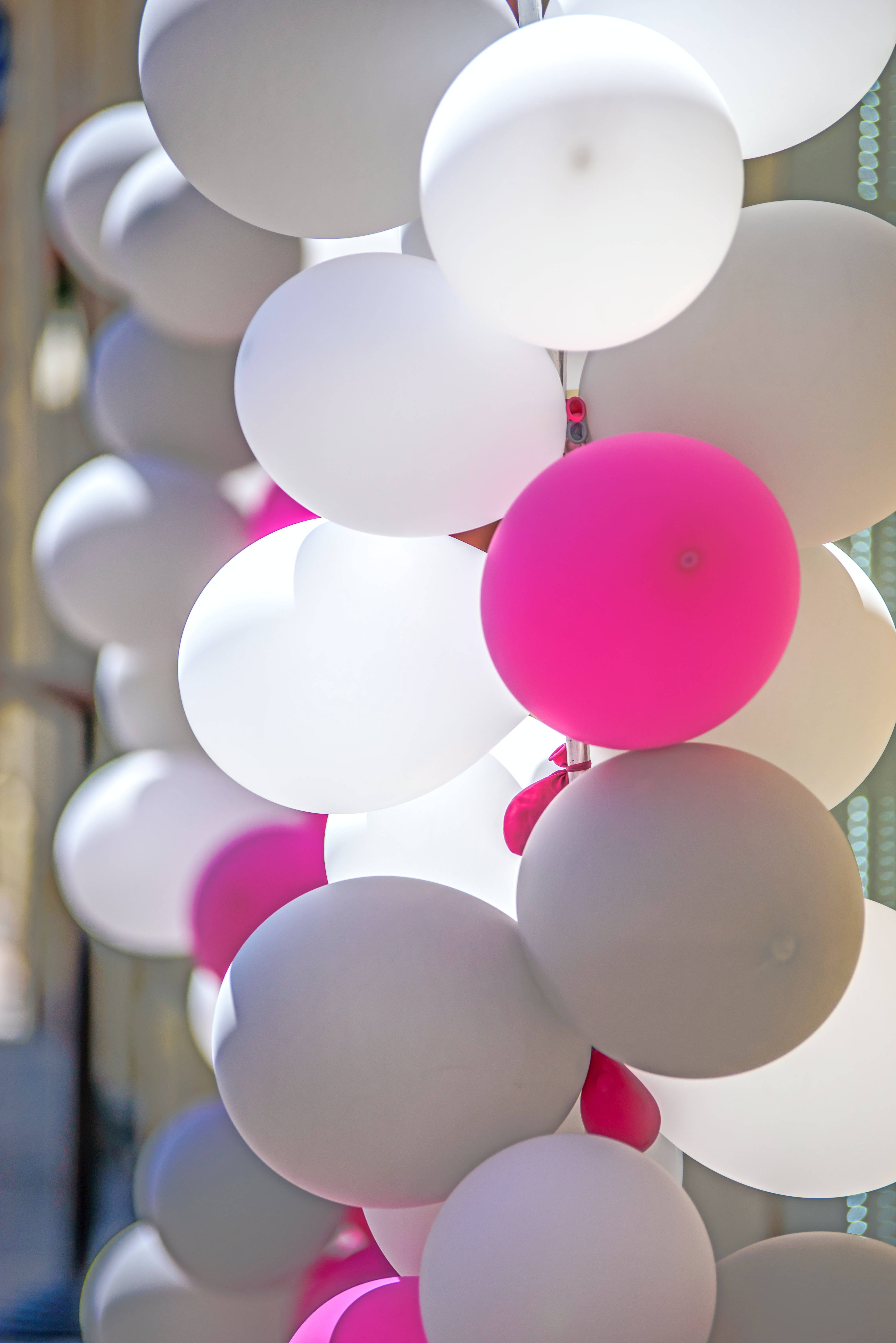 Balloons 桌布 壁紙 — 一簇白色和鮮豔粉紅色的氣球在柔和日光中飄浮，營造出節日氣氛和輕盈感。