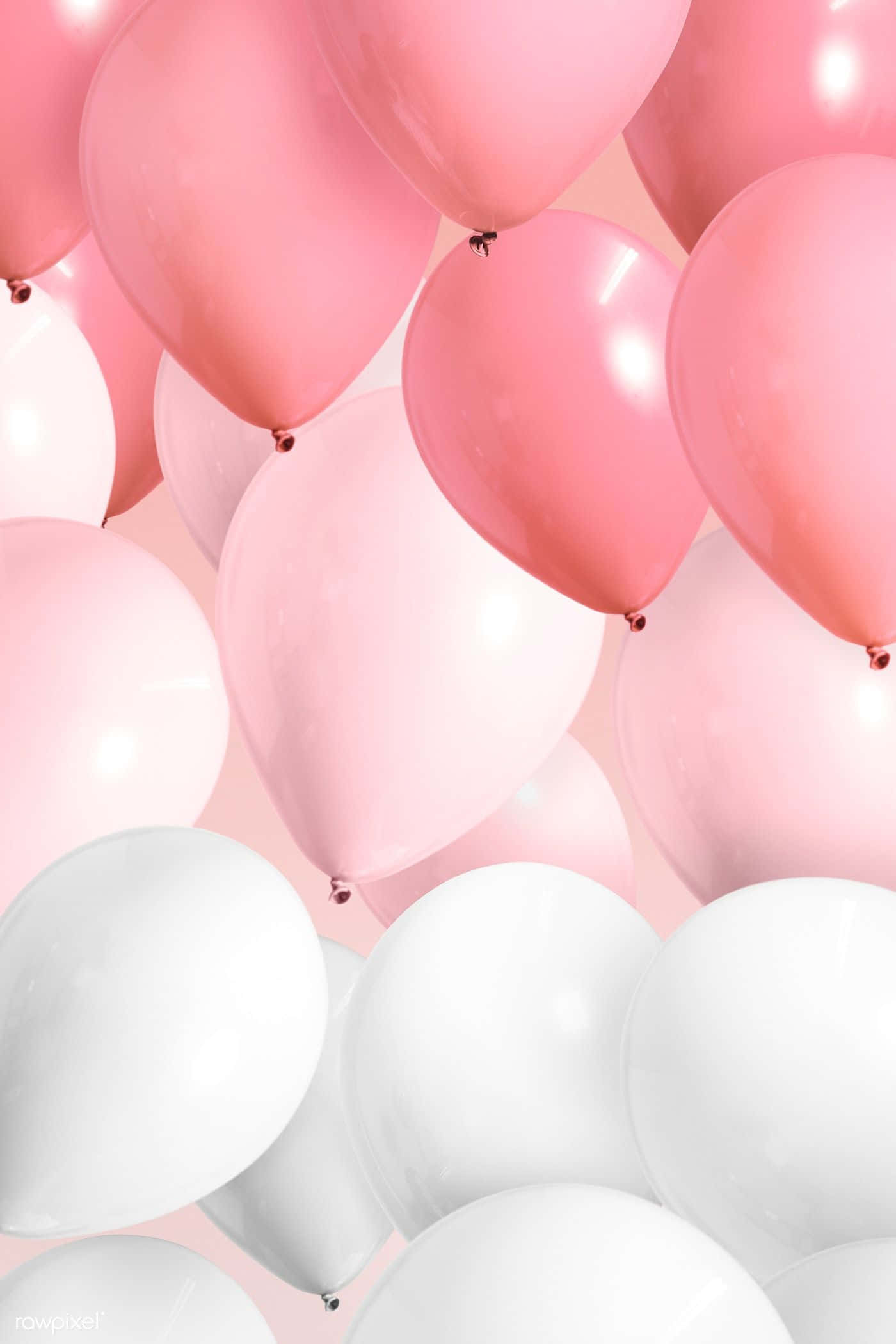 Pink Balloons 桌布 壁紙 — 一簇粉紅色和白色的氣球在粉彩粉紅色背景上輕輕飄浮。