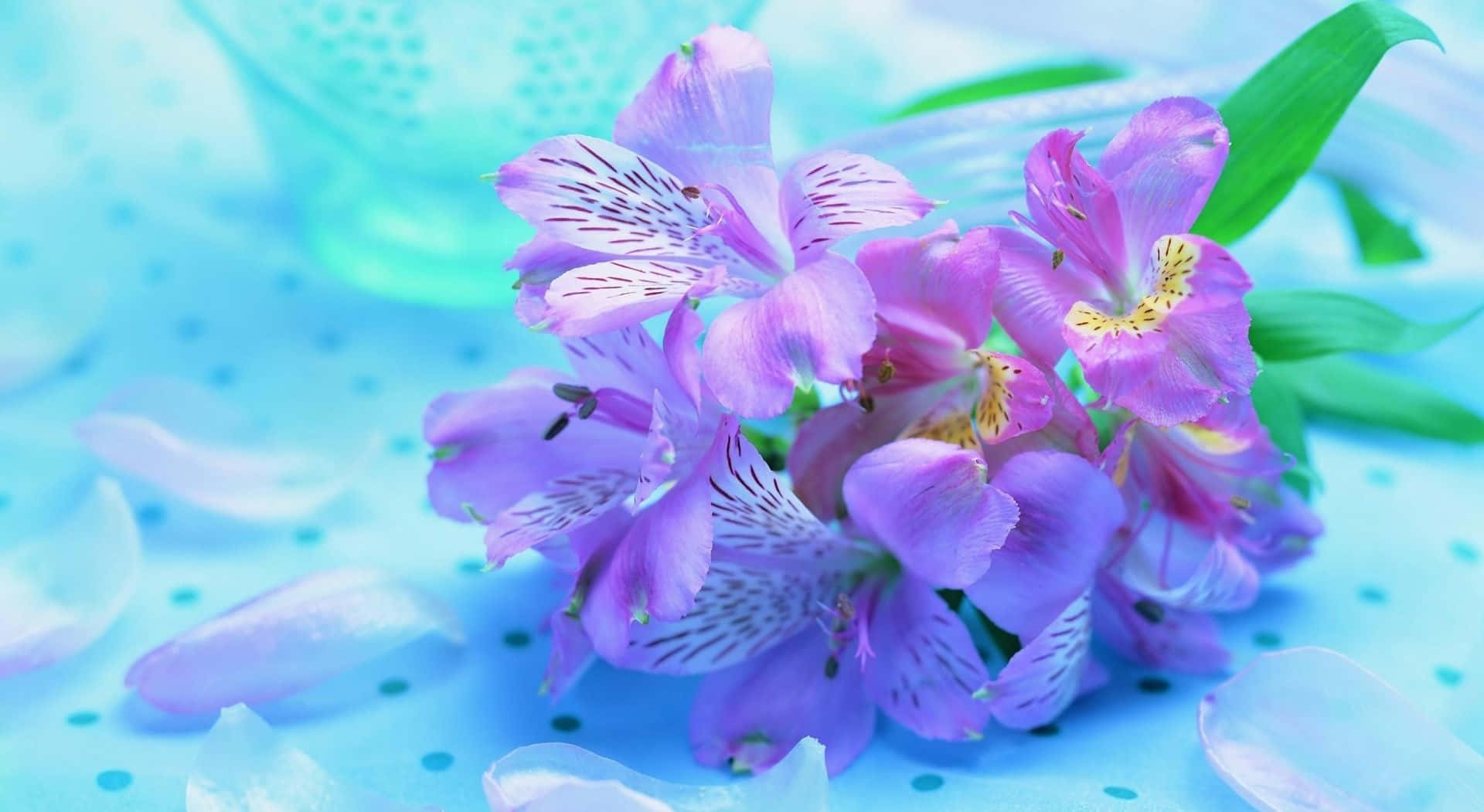 Purple Flowers 桌布 壁紙 — 一簇精緻的紫色花朵，帶有白色斑點花瓣，放在柔軟的藍色圓點表面上。
