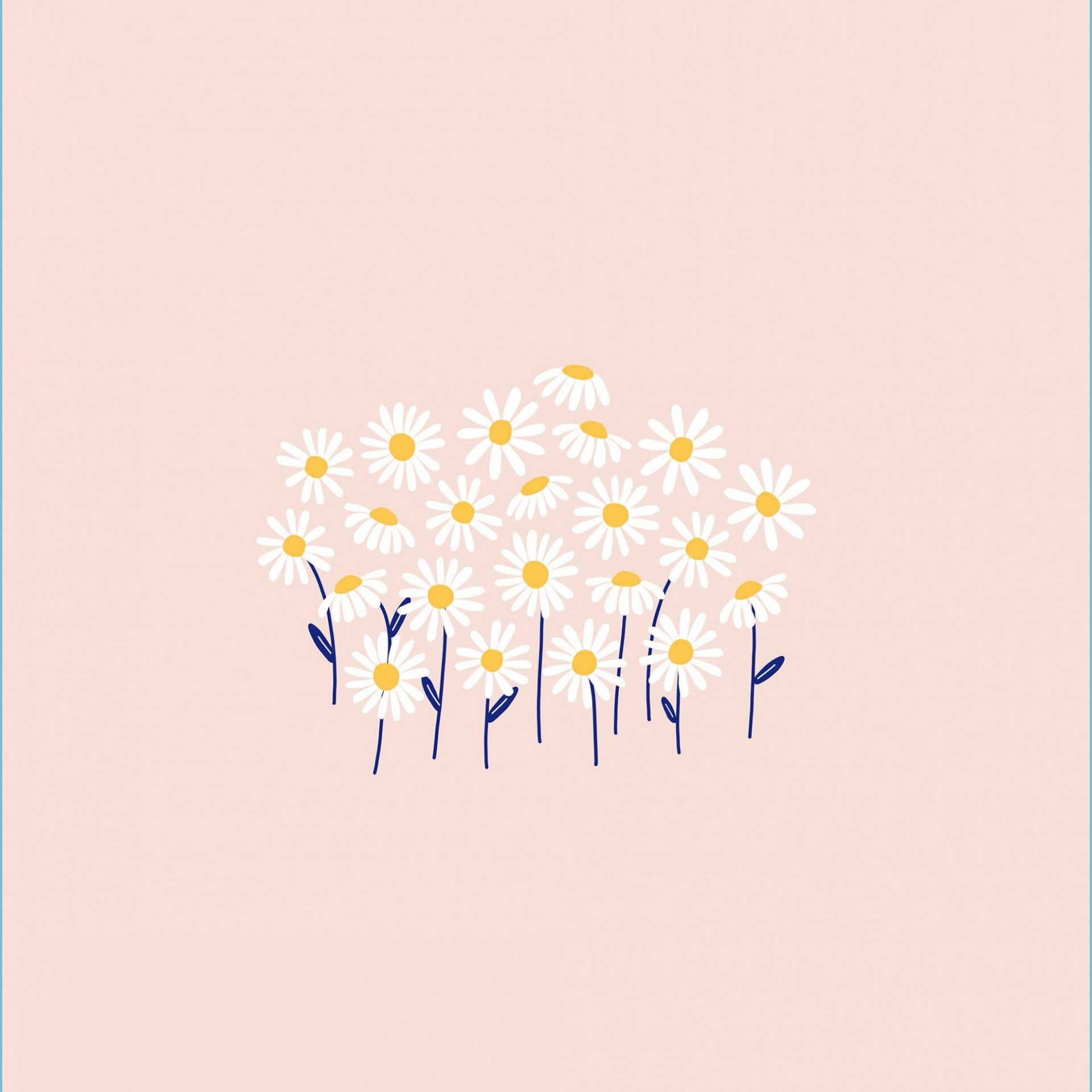 花 桌布 壁紙 — 一簇風格化的雛菊，白色花瓣和黃色花蕊，襯托在柔和的粉紅色背景上。