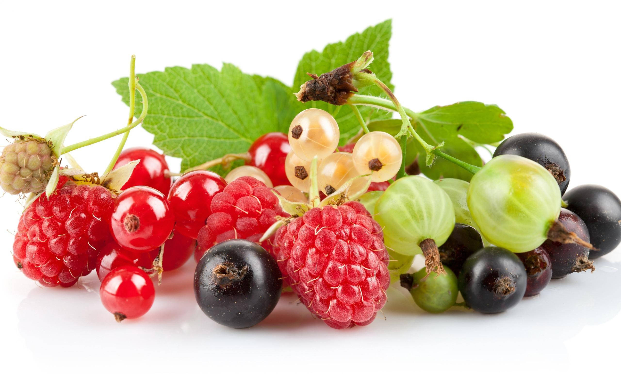 Fruits 桌布 壁紙 — 一簇鮮豔的新鮮紅桑葚、黑加侖子和綠醋栗，帶有葉子，放在潔淨的白色背景上。