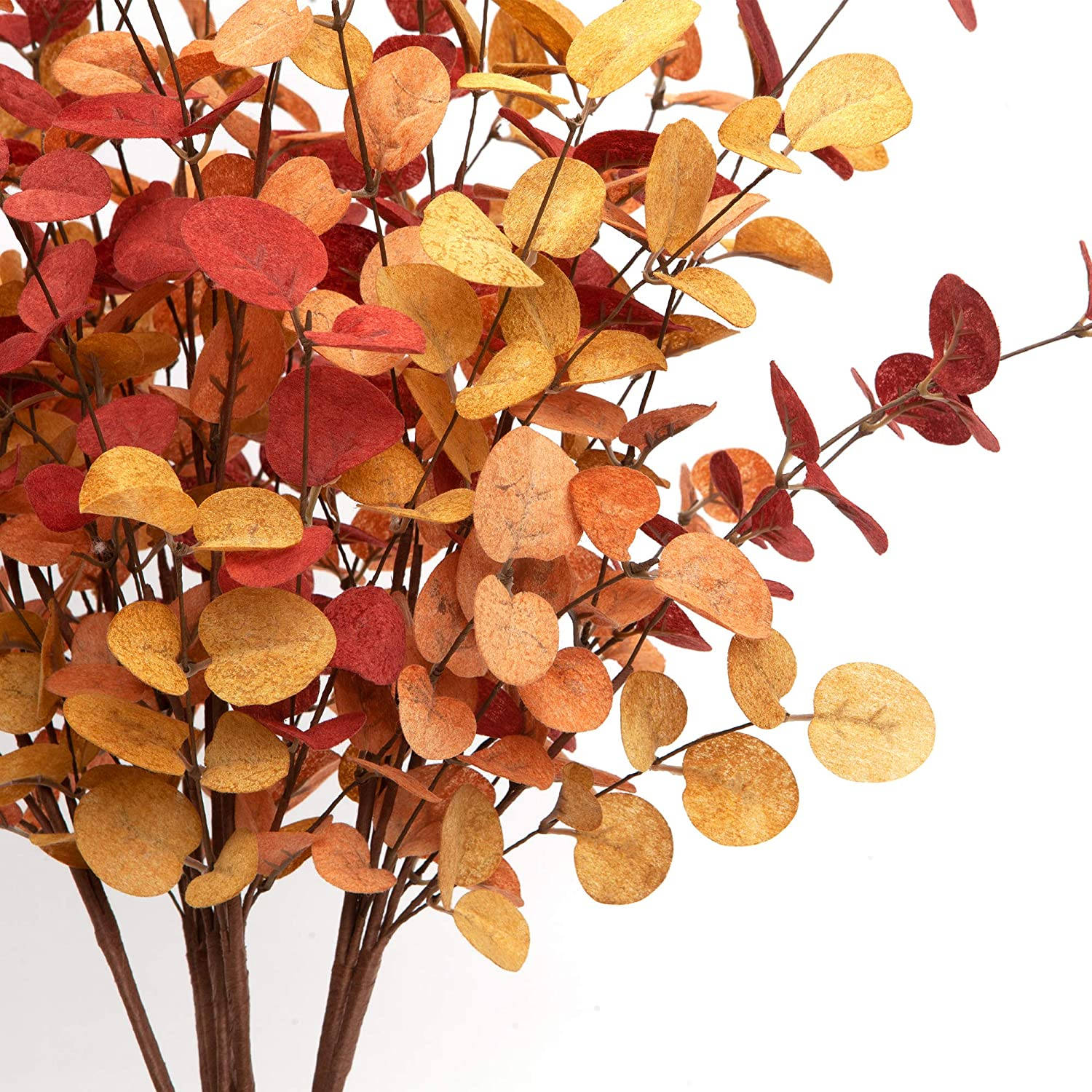 Autumn Leaves 桌布 壁紙 — 一簇鮮豔的秋葉，呈現豐富的紅色和金色，掛在纖細的樹枝上，背景是潔淨的白色。