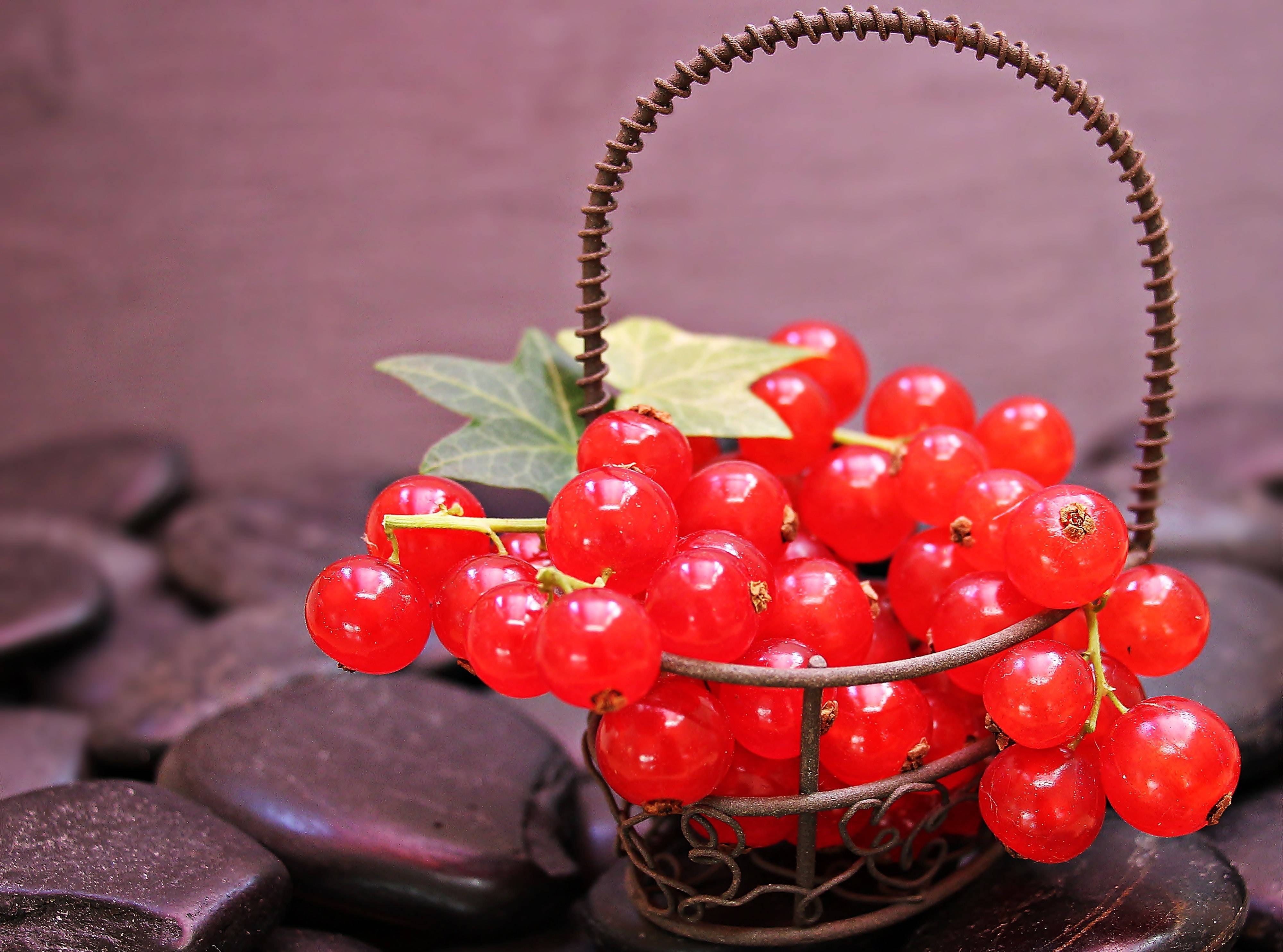 basket 桌布 壁紙 — 一籃光澤的紅醋栗配綠葉，放在深色光滑的石頭上，背景為柔和的紫色。