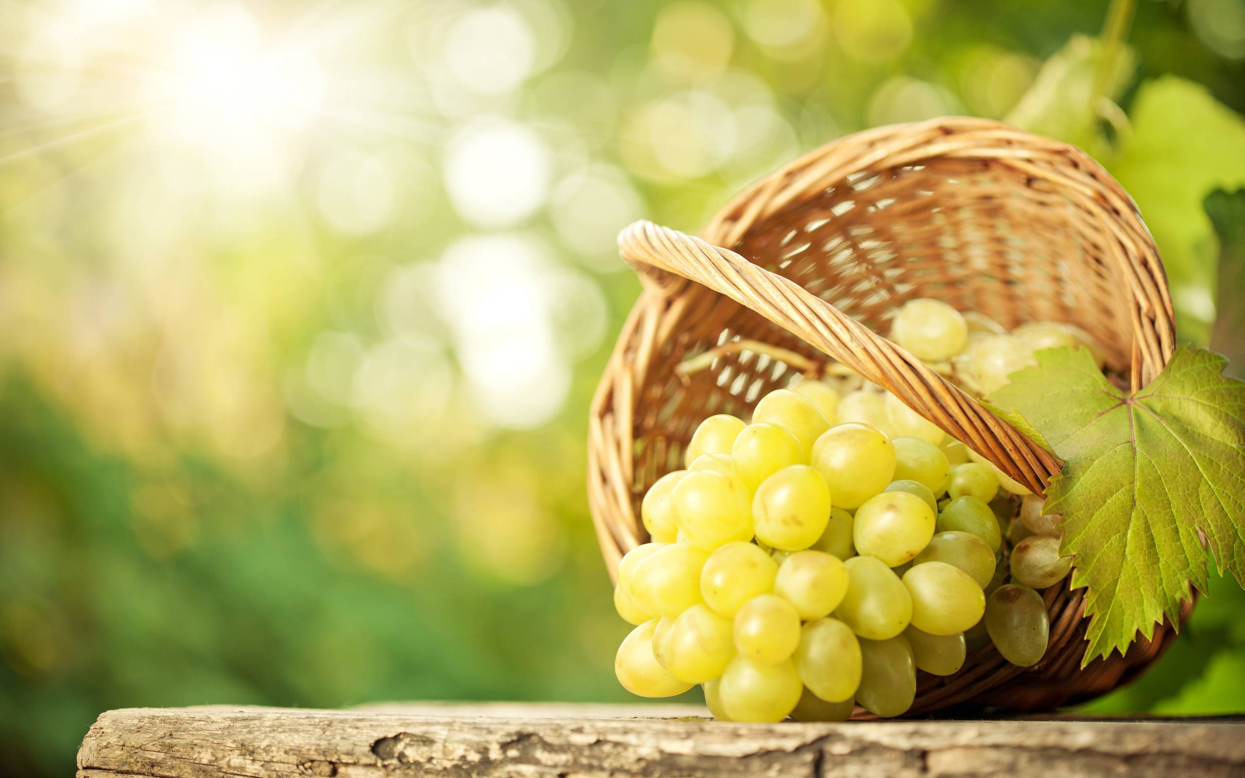Fruits 桌布 壁紙 — 一籃新鮮青葡萄灑落在木質表面上，背後有柔和焦點的陽光照射的樹葉。