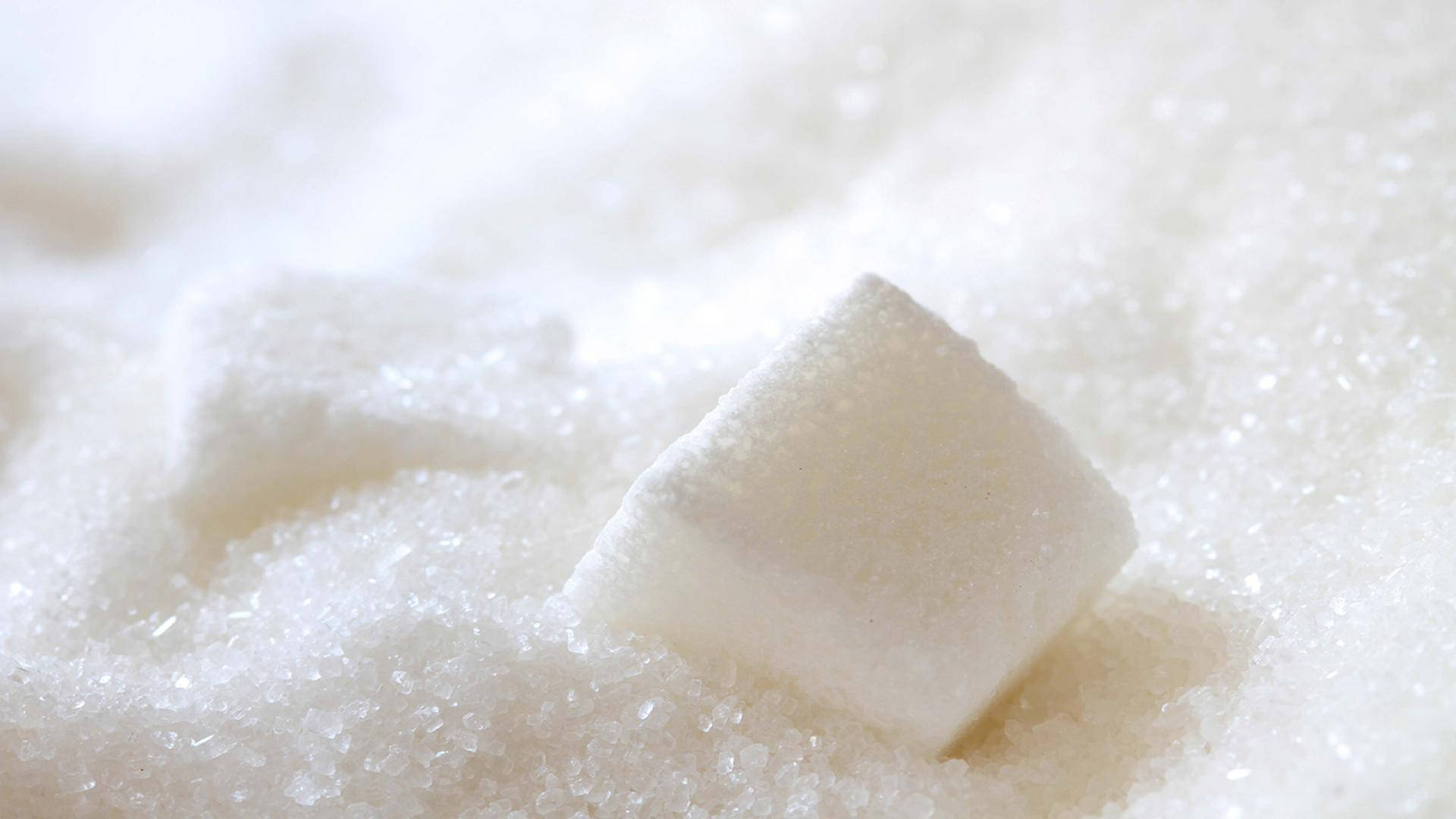Sugar 桌布 壁紙 — 一粒白色方糖放在一層砂糖上，光線柔和擴散。