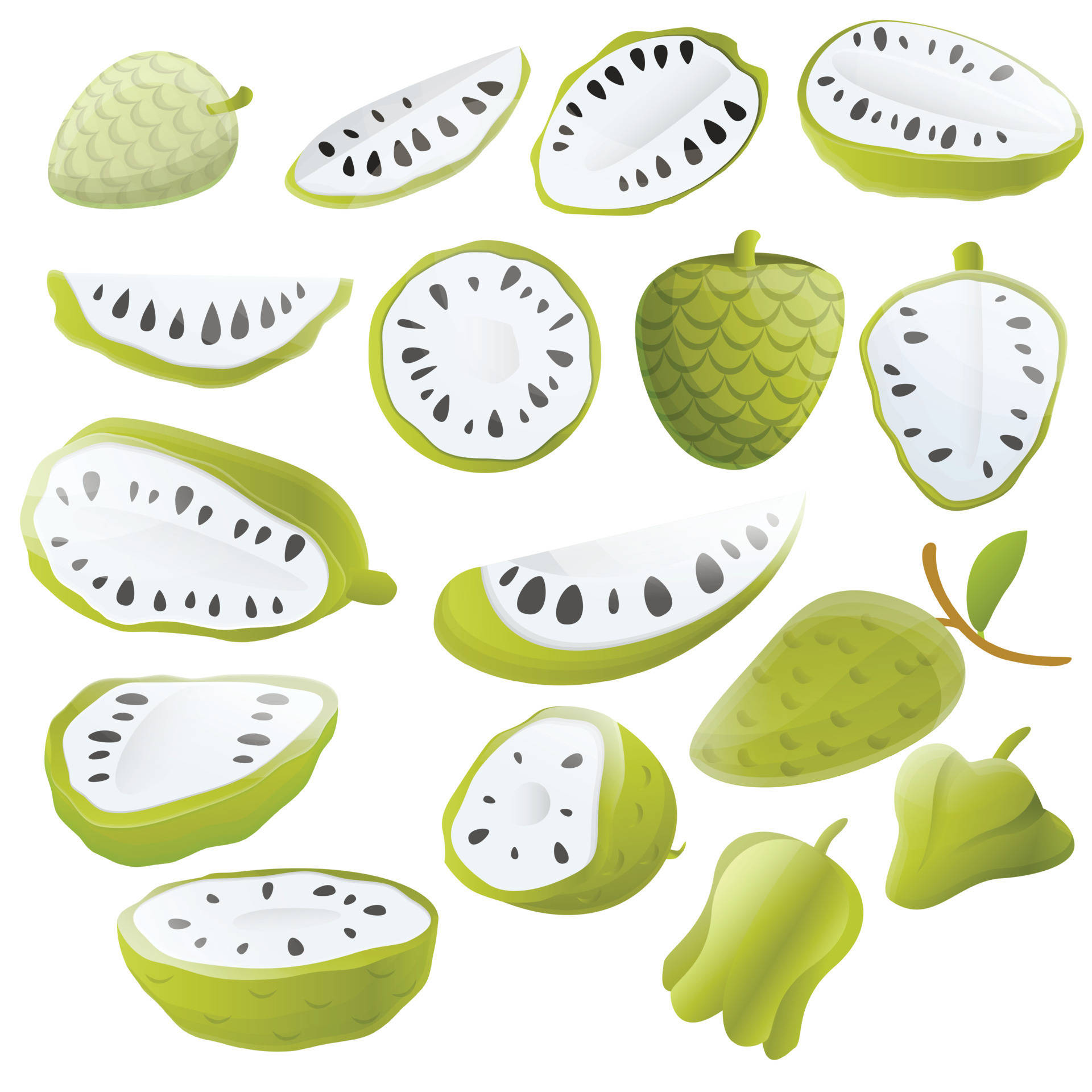 Fruits 桌布 壁紙 — 一系列充滿活力的插圖牛心梨，完整和切片，露出白色果肉和黑色種子。