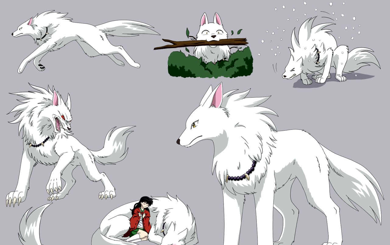 Inuyasha Yokai 桌布 壁紙 — 一系列動漫風格的白狼角色，以各種姿勢和表情呈現在純灰色背景上。