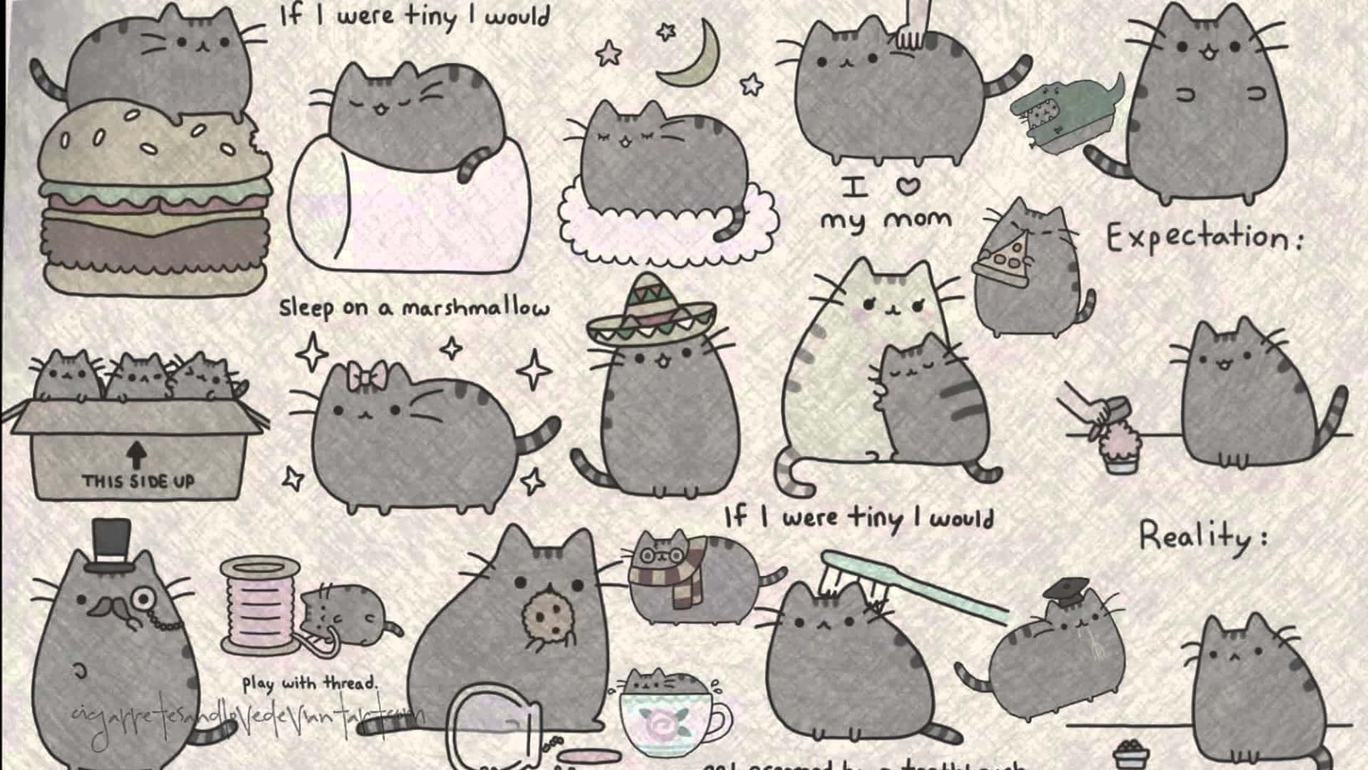 卡通貓咪處於幽默情境中，附有手寫標題。 — Pusheen 動圖 壁紙
