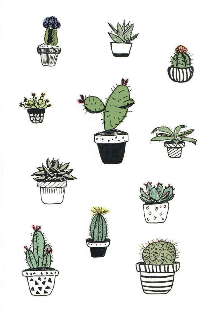 Cactus 桌布 壁紙 — 一系列手繪盆栽仙人掌和多肉植物，放在各種花盆中，以簡單的黑色輪廓和綠色陰影繪製在白色背景上。