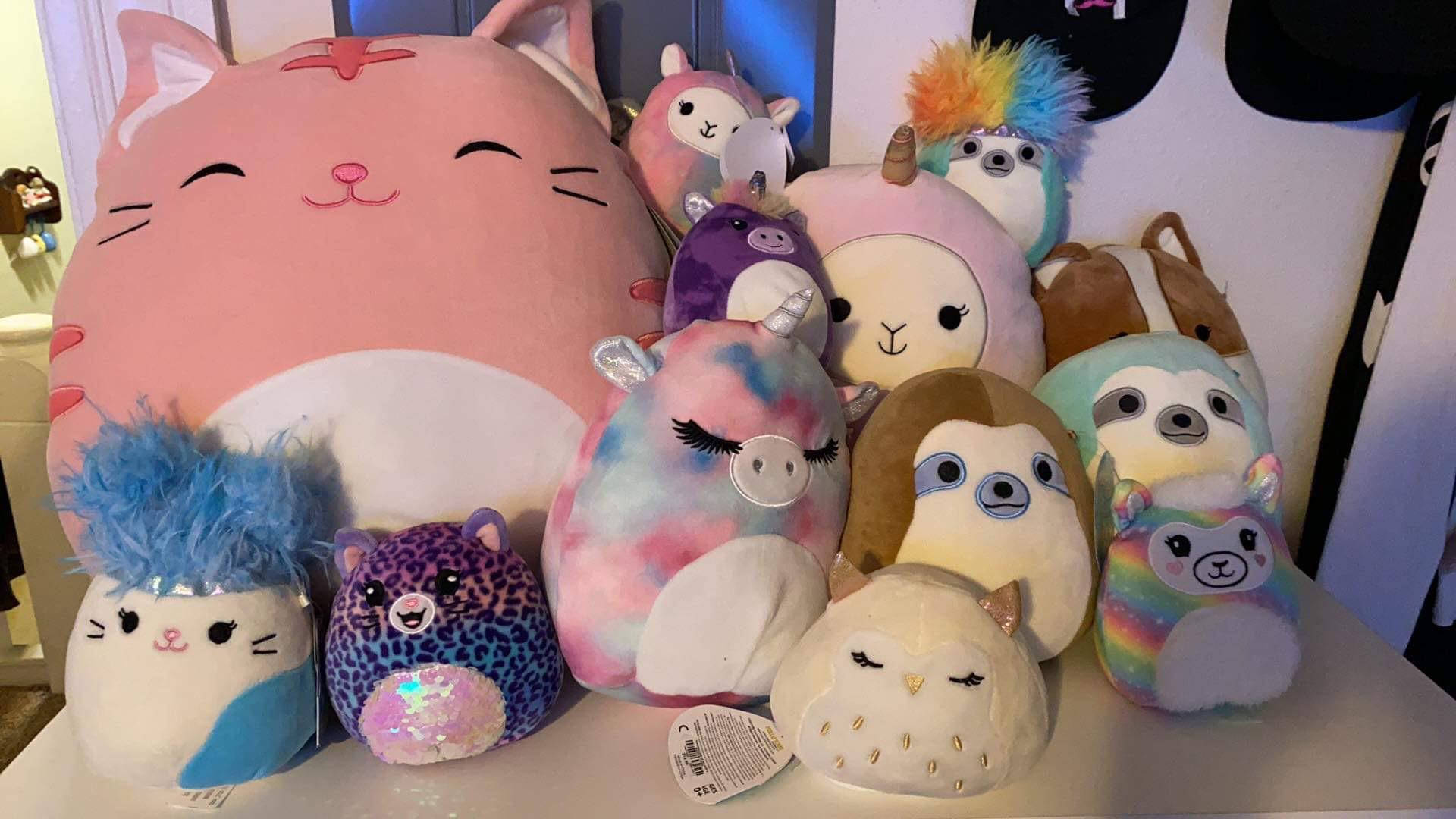 一組色彩繽紛的毛絨玩具，具有各種設計和表情。 — Squishmallows 壁紙