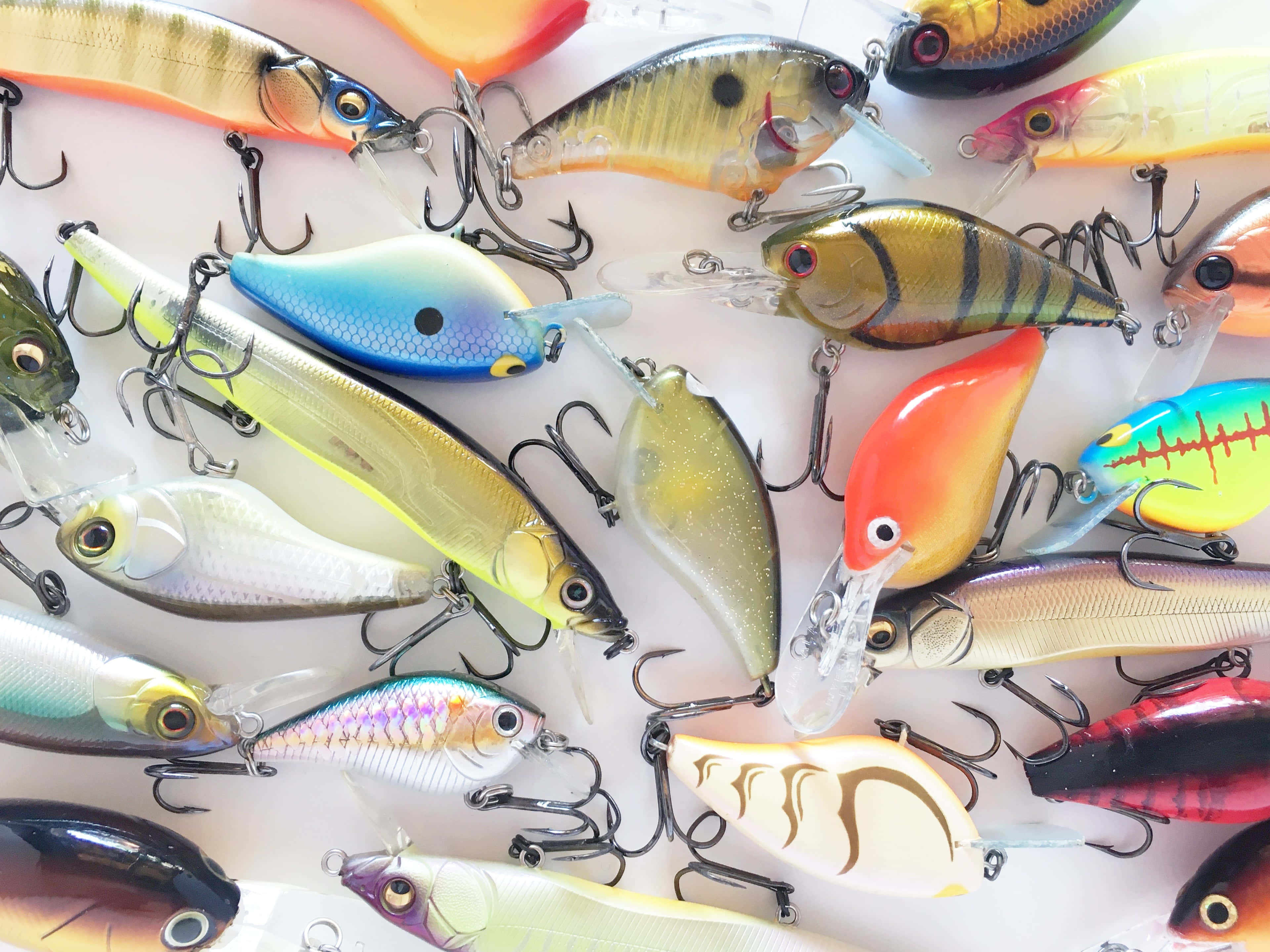 Fishing Bait 桌布 壁紙 — 一系列色彩繽紛的魚餌連魚鉤，以密集重疊的圖案排列在亮白色表面上。