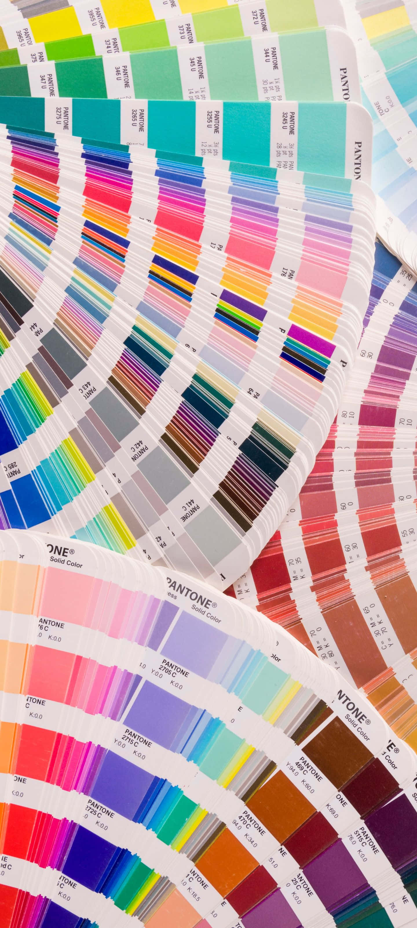 1440x3200 桌布 壁紙 — 一系列鮮豔的 Pantone 色票以扇形展開，呈現從明亮霓虹到深沉大地色調的彩虹色系。