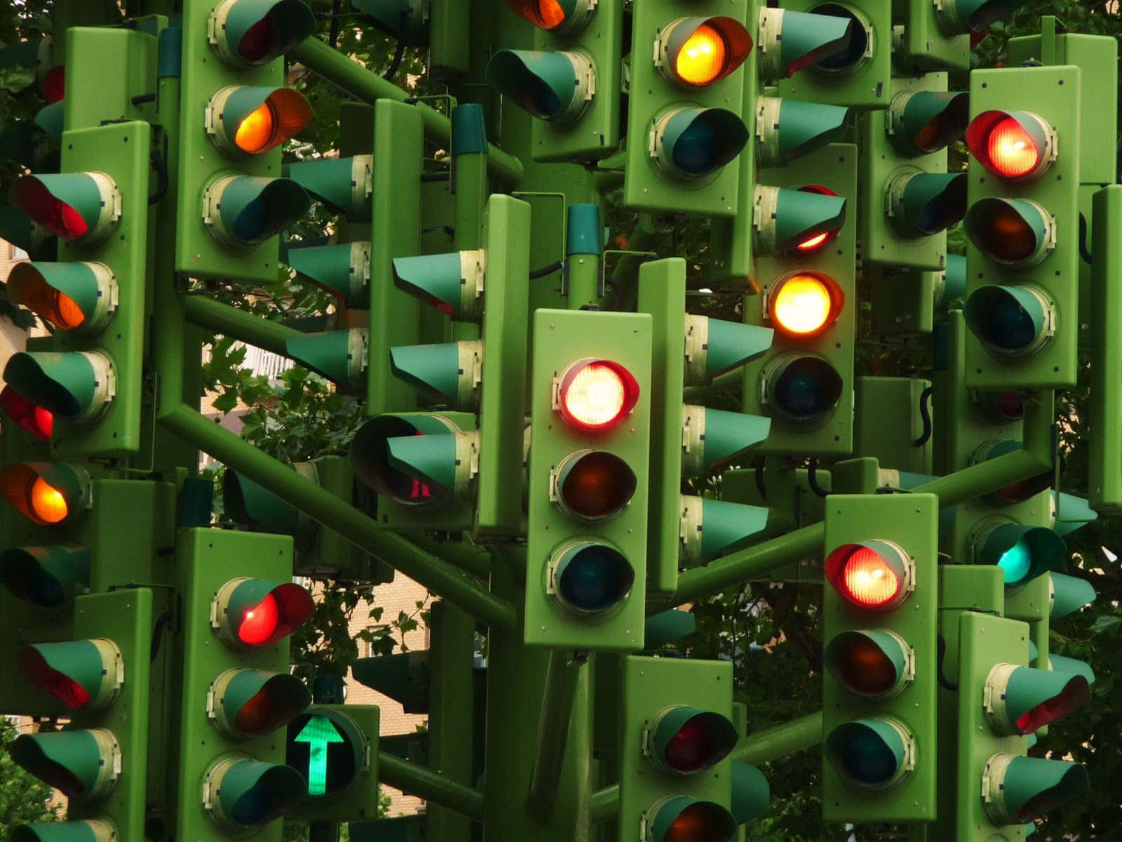Stop Light 桌布 壁紙 — 一組密集的綠色交通燈，紅色、黃色和綠色信號在樹木背景下發光。