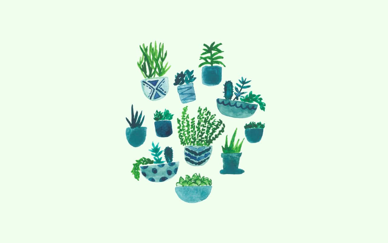 Cactus 桌布 壁紙 — 一組插圖盆栽植物，放在青綠色花盆中，葉子多樣，背景是淡薄荷色。