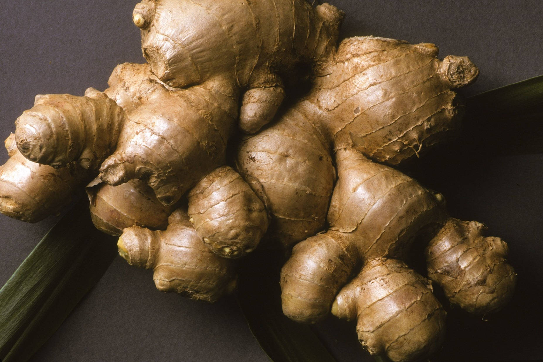 Ginger 桌布 壁紙 — 一組棕色多節的生薑根特寫，放在深綠色葉子上，背景為黑色。