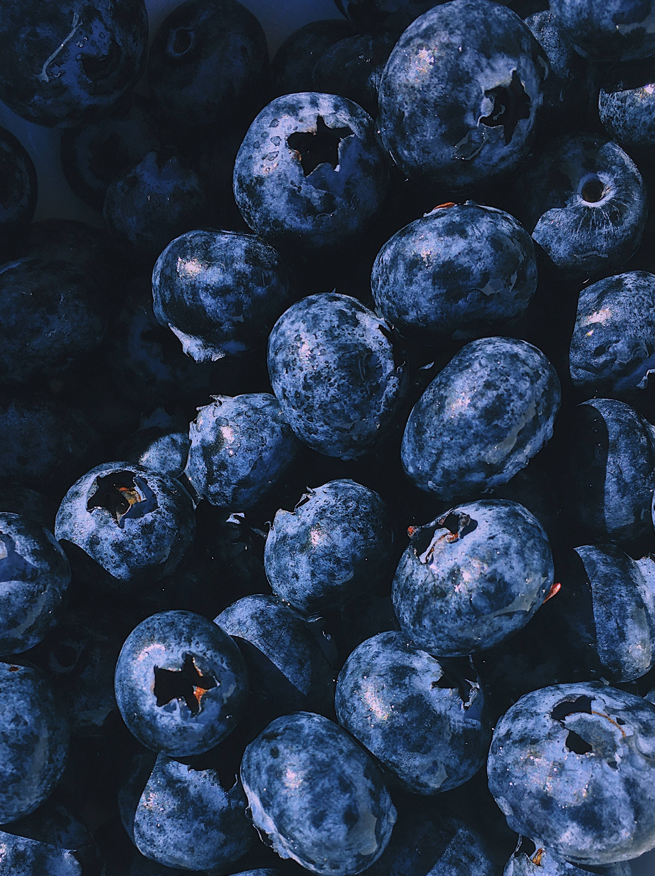 Fruits 桌布 壁紙 — 一組飽滿藍莓的特寫，帶有灰藍色表皮和星形花萼，在柔和光線下閃耀。