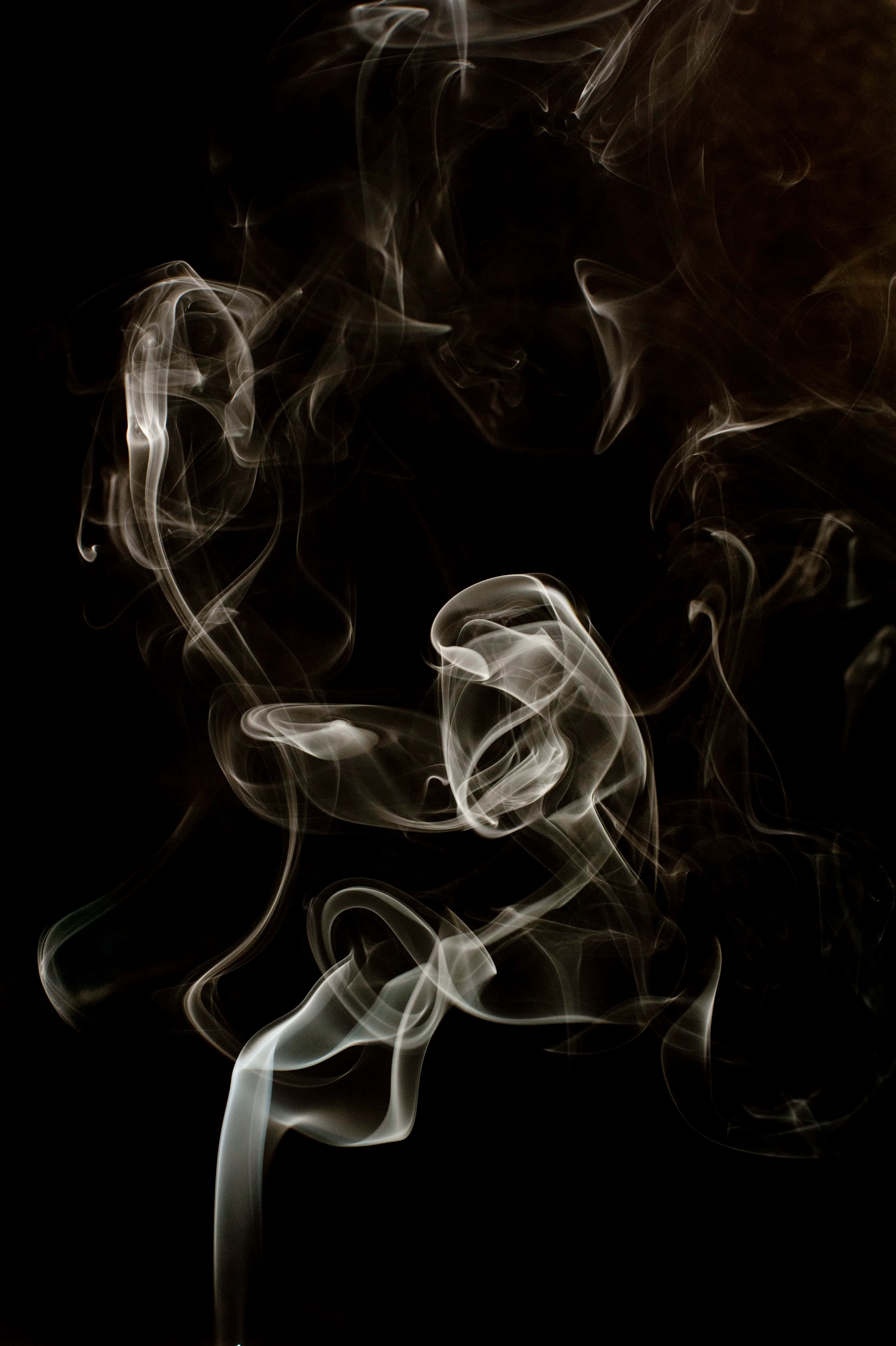 Black Smoke 桌布 壁紙 — 一縷縷縹緲的白煙在深黑色背景上彎曲扭轉，形成迷人的抽象形態。