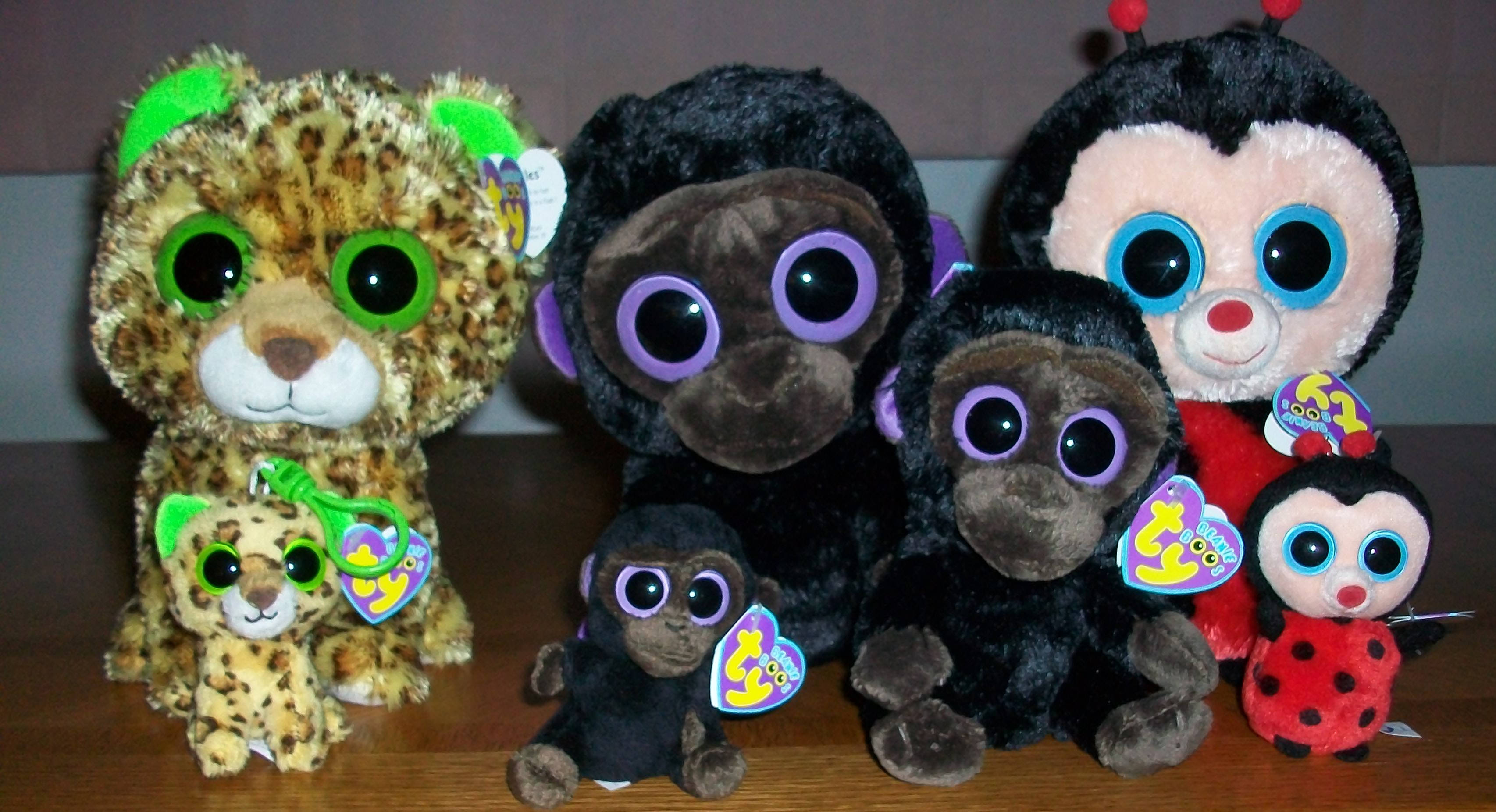 Beanie 桌布 壁紙 — 一群Ty Beanie Boo毛絨玩具，包括豹、猴子、瓢蟲和黑猩猩角色，擁有超大眼睛，坐在木質表面上。