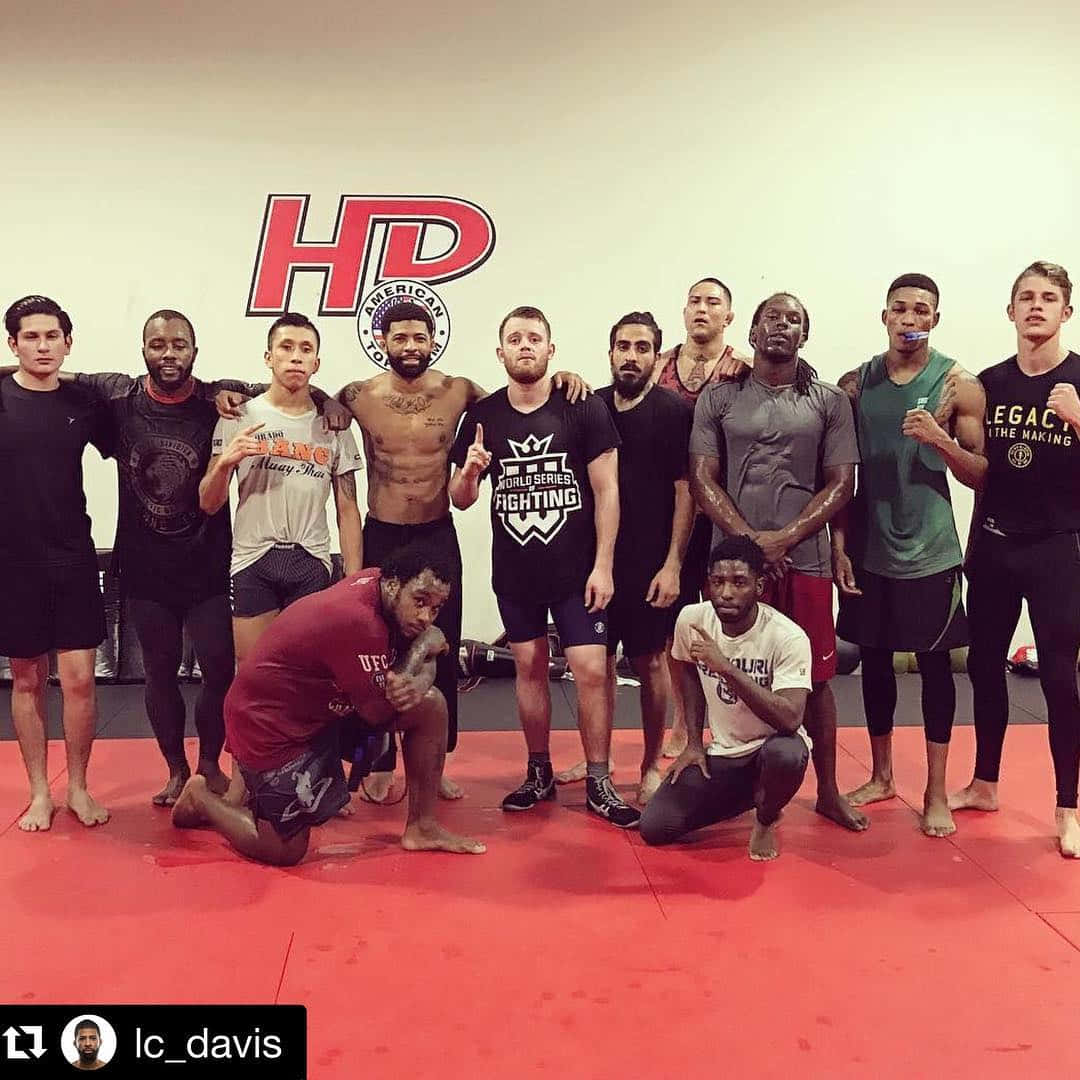 MMA 桌布 壁紙 — 一群不同種族的男性拳手在健身房的紅色軟墊上自信地擺姿勢，牆上有「HP」標誌。