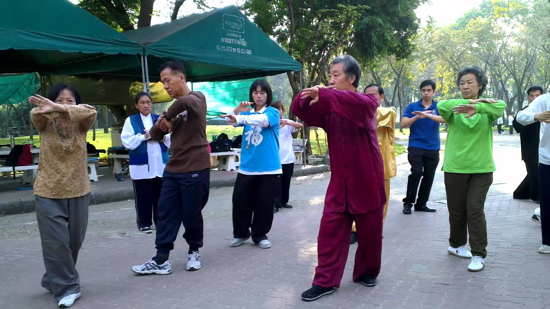 MMA 桌布 壁紙 — 一群人在公園裡，在陽光明媚的日子裡，在綠色樹蔭下練習同步太極拳。